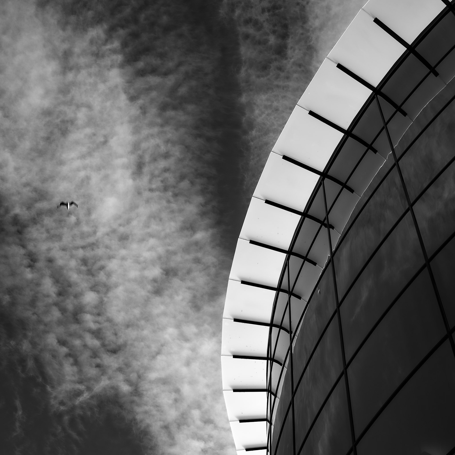 Vinter'n gikk som vanlig. Det var ikke mange fuglene som sang. Likevel tror jeg at våren vil prøve seg nok en gang! Lillebjørn Nilsen