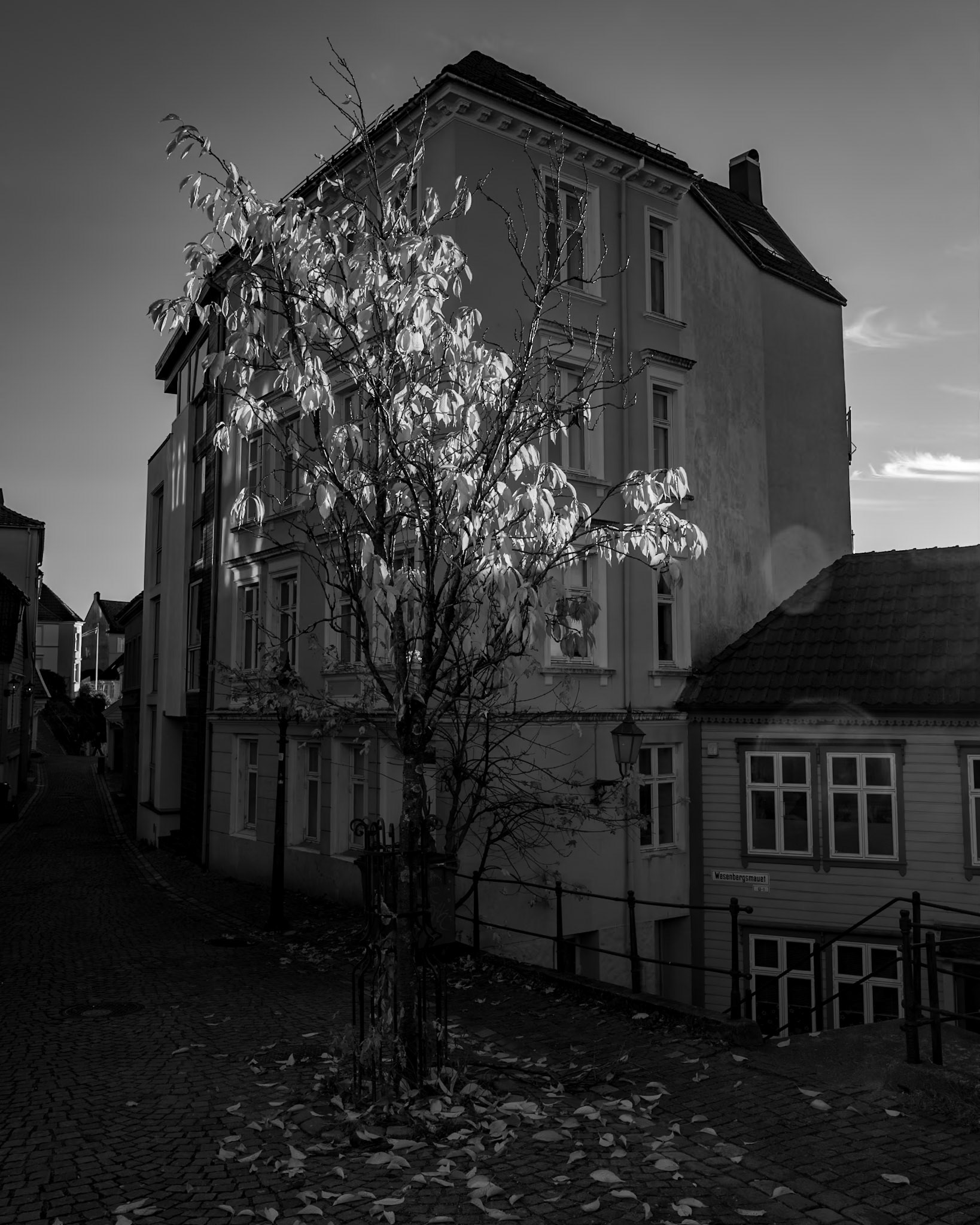 Hvis du bruker livet på å engste deg for stormen, får du aldri anledning til å nyte solskinnet. Morris West