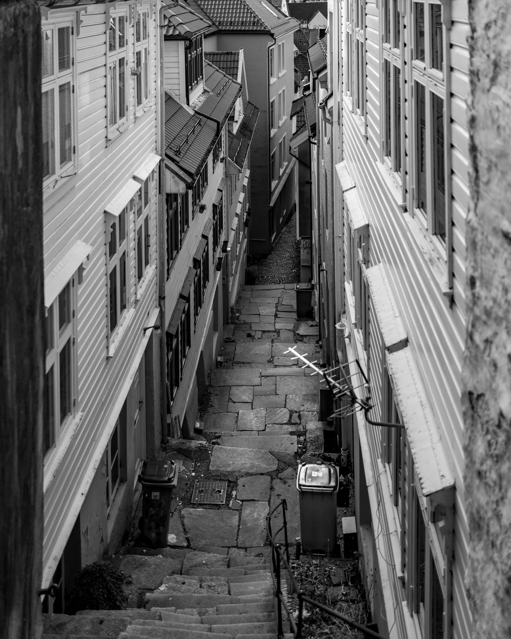 Den som mangler antenner, kan ikke klage over dårlige forhold. Kjerstin Aune