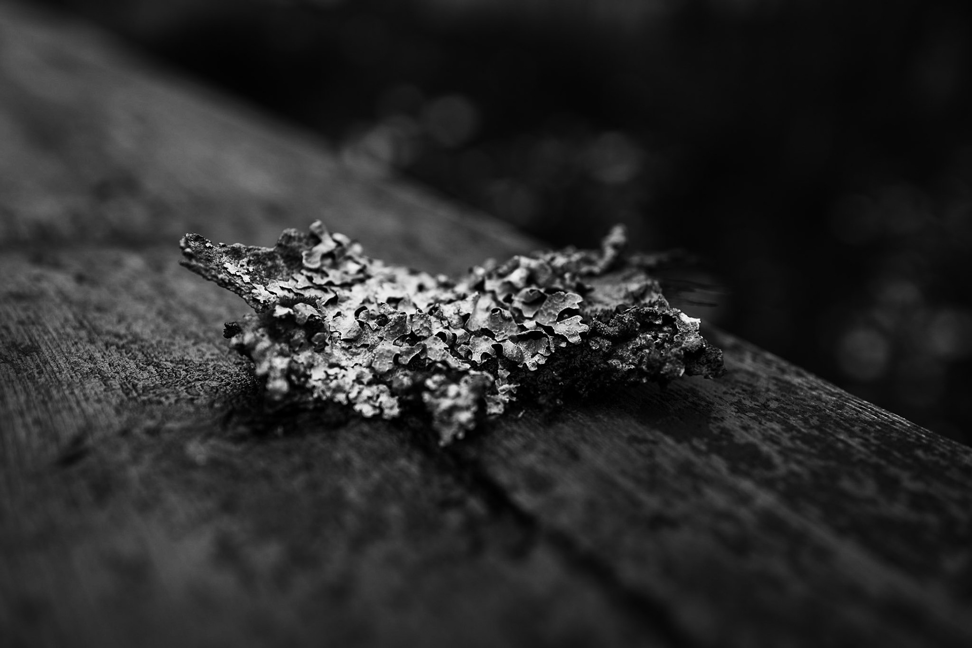 "Alt nytt begynner med kaos."  Mosse Jørgensen