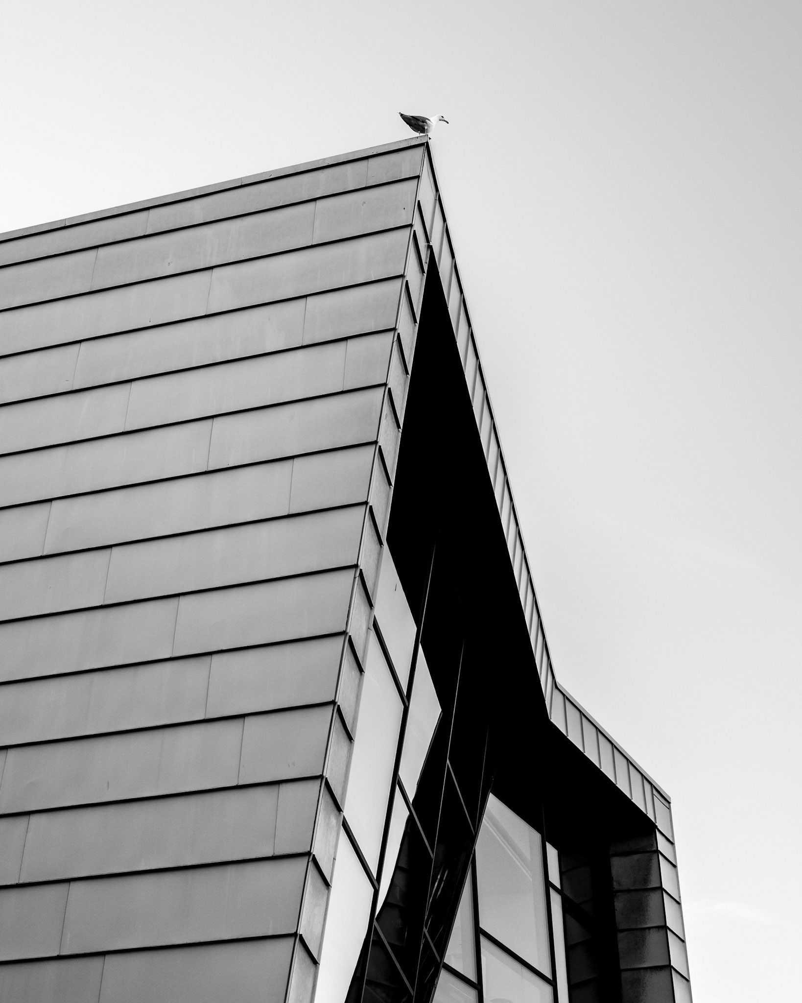 Verda er vakker ho, berre du ser henne frå rette kanten. Olav Duun