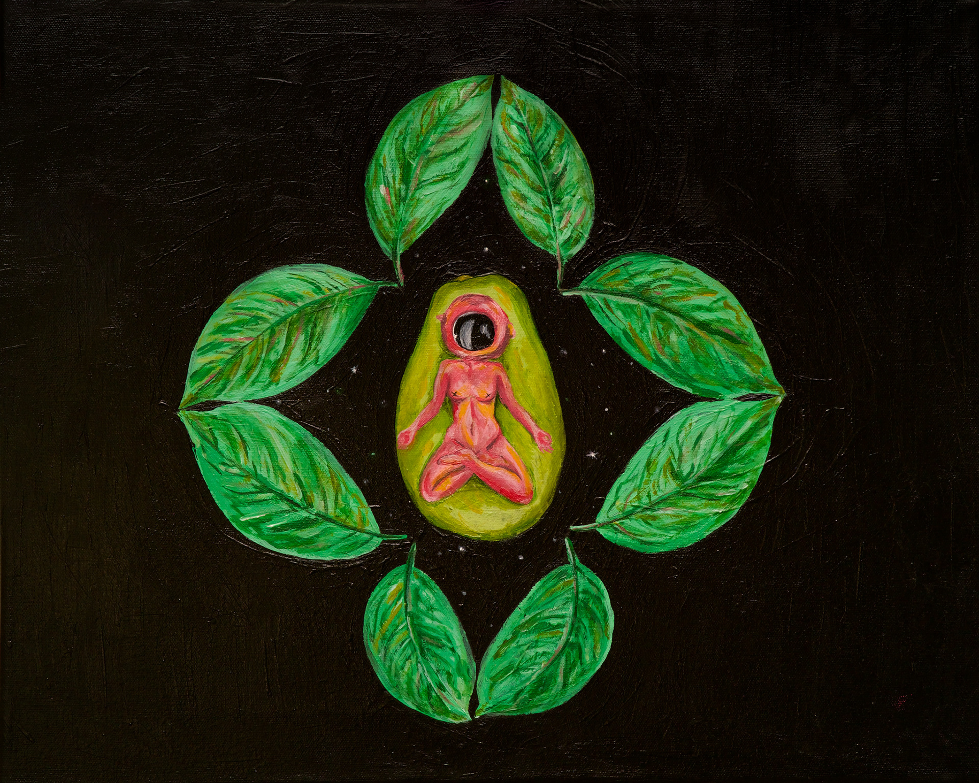Avocado Planet