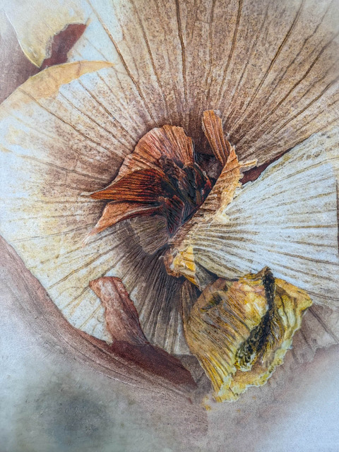 Emerging 