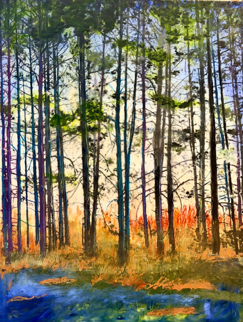 The Woods Remember
