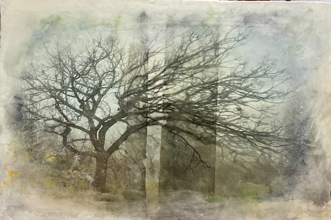 Memories of Trees