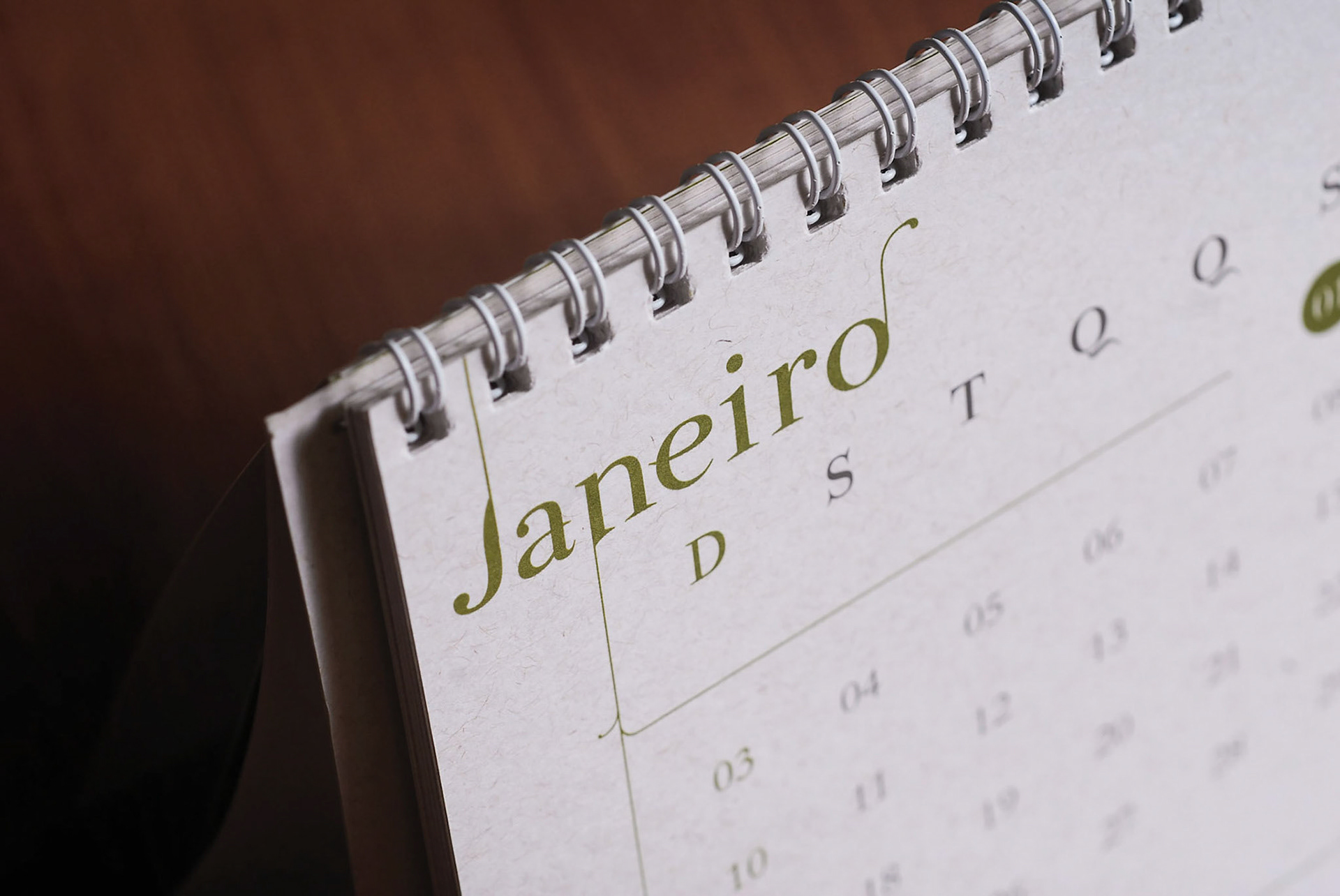 Sustainable calendar and notebook designs featuring eco-conscious illustrations for Brazilian Energy Grid Operator ONS.