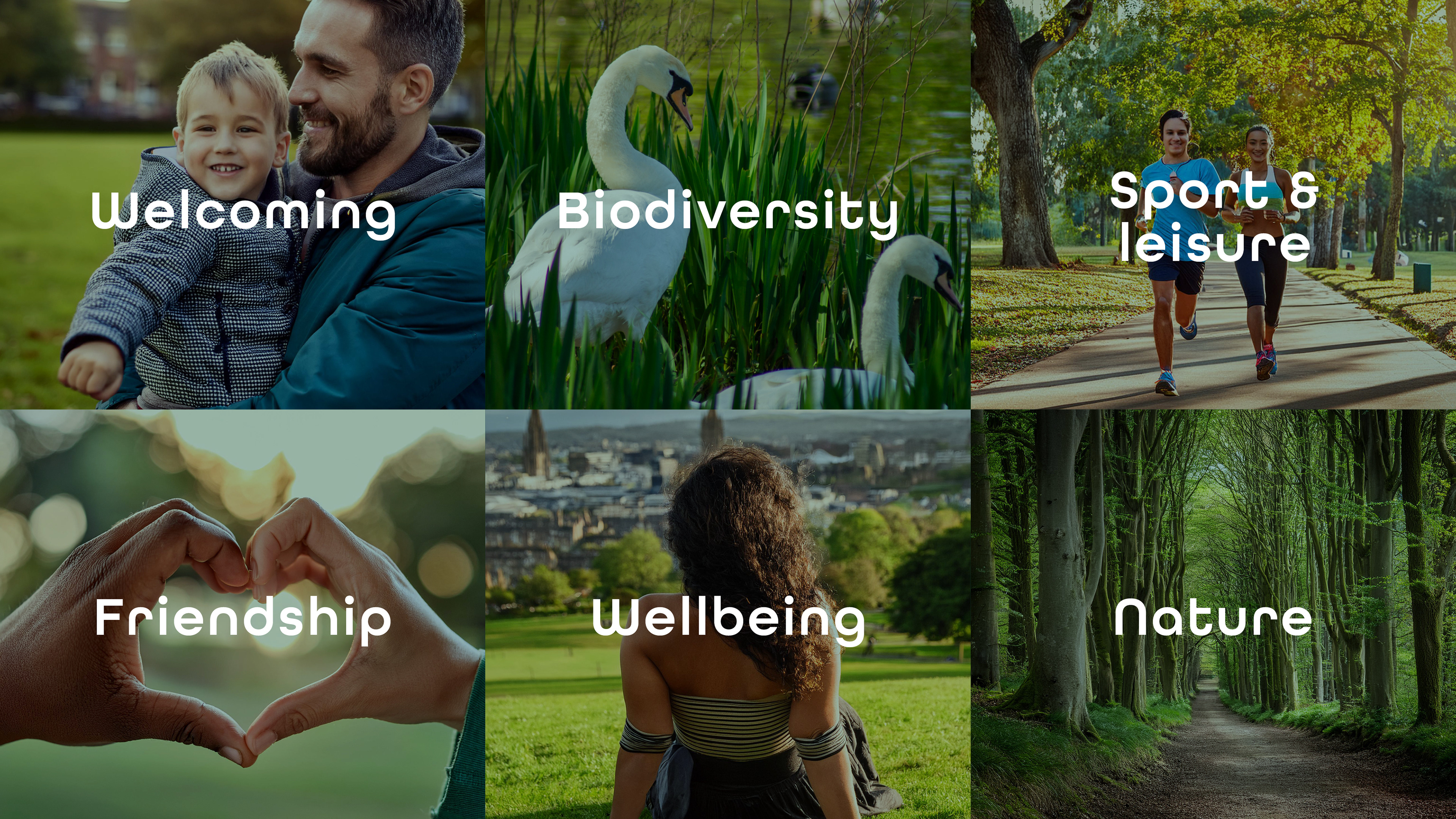 Moodboard collage highlighting brand concepts for Friends of Queen’s Park: welcoming, biodiversity, wellbeing, nature, sport, leisure, and friendship.