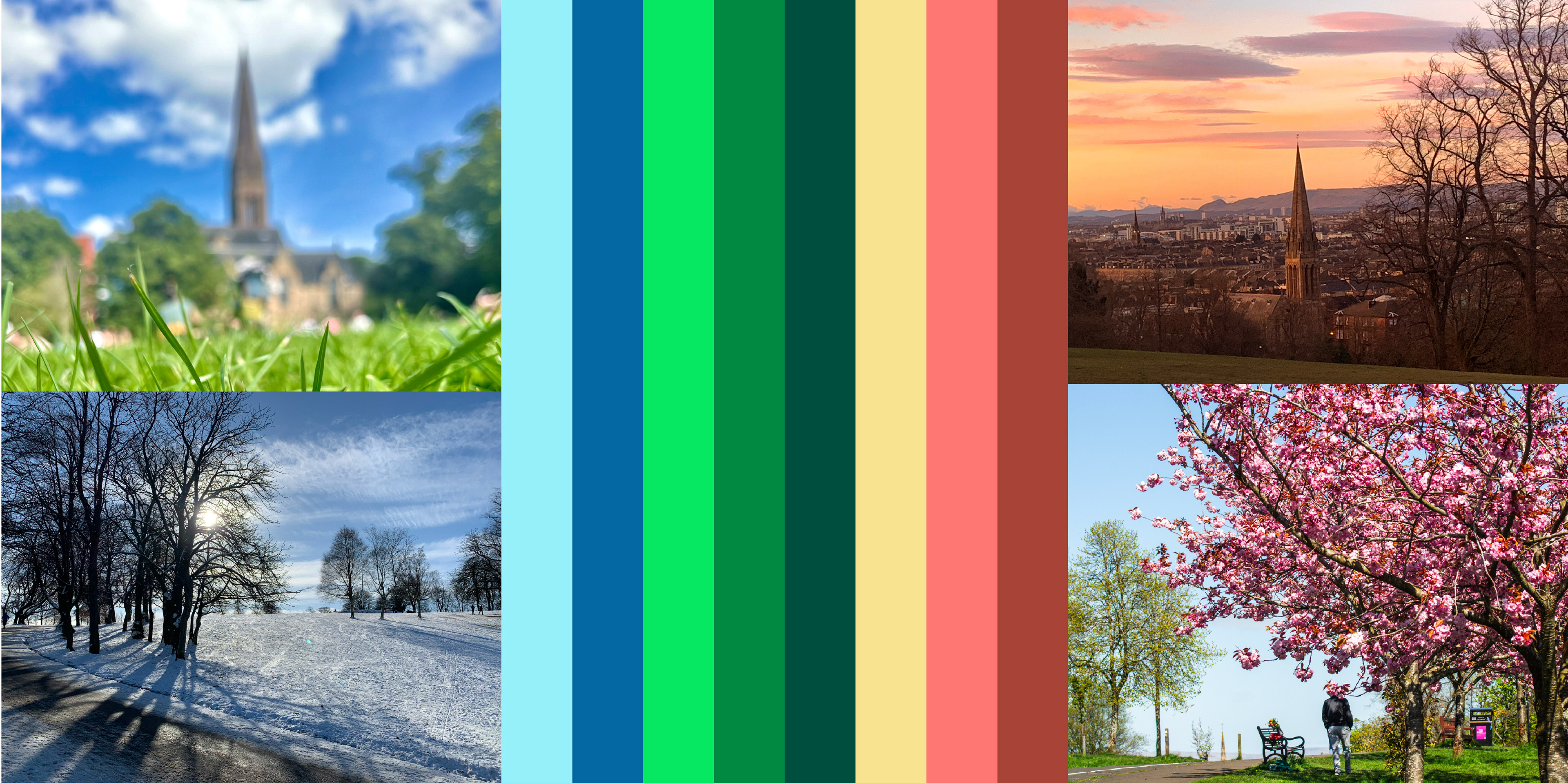 Brand colour palette inspired by nature and Queen’s Park surroundings throughout the seasons: winter, summer, autumn, spring, sunrise, sunset, cherry blossoms, snow, brownstone architecture. flowers petals wildlife feathers