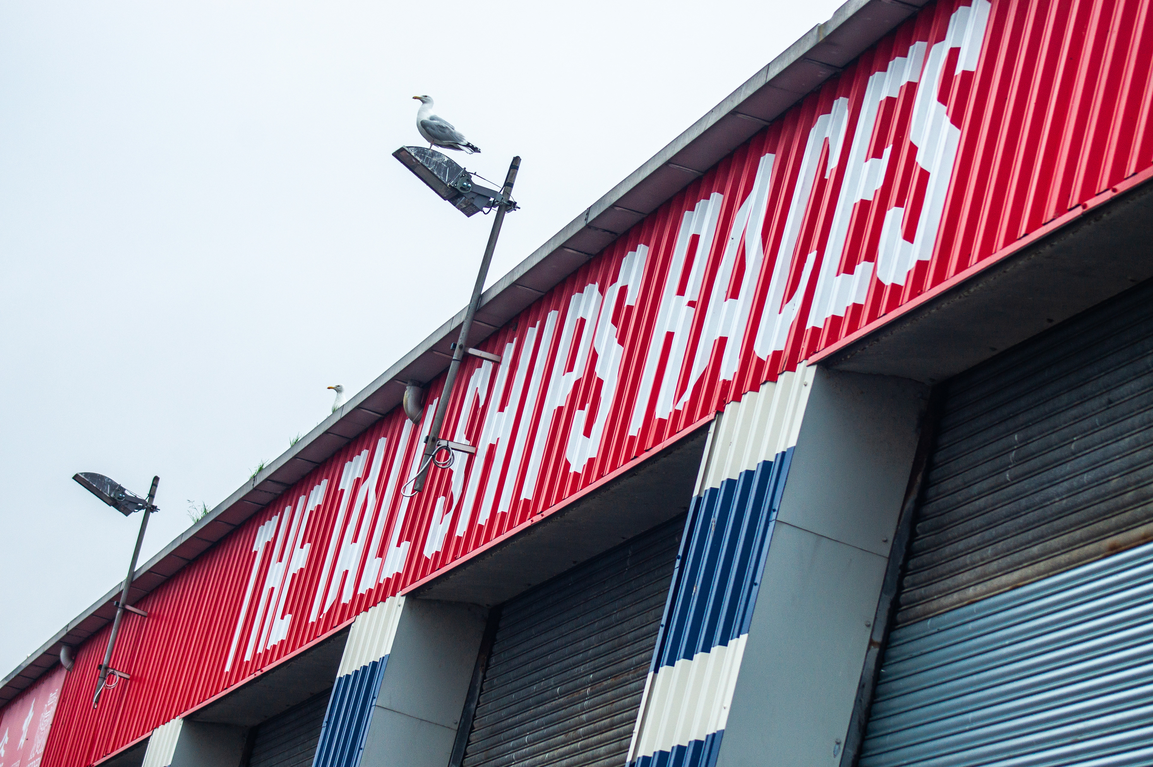 “Close-up views of Tall Ships Race Aberdeen 2025 event design, including city dressing, wayfinding signage, and custom-painted installations