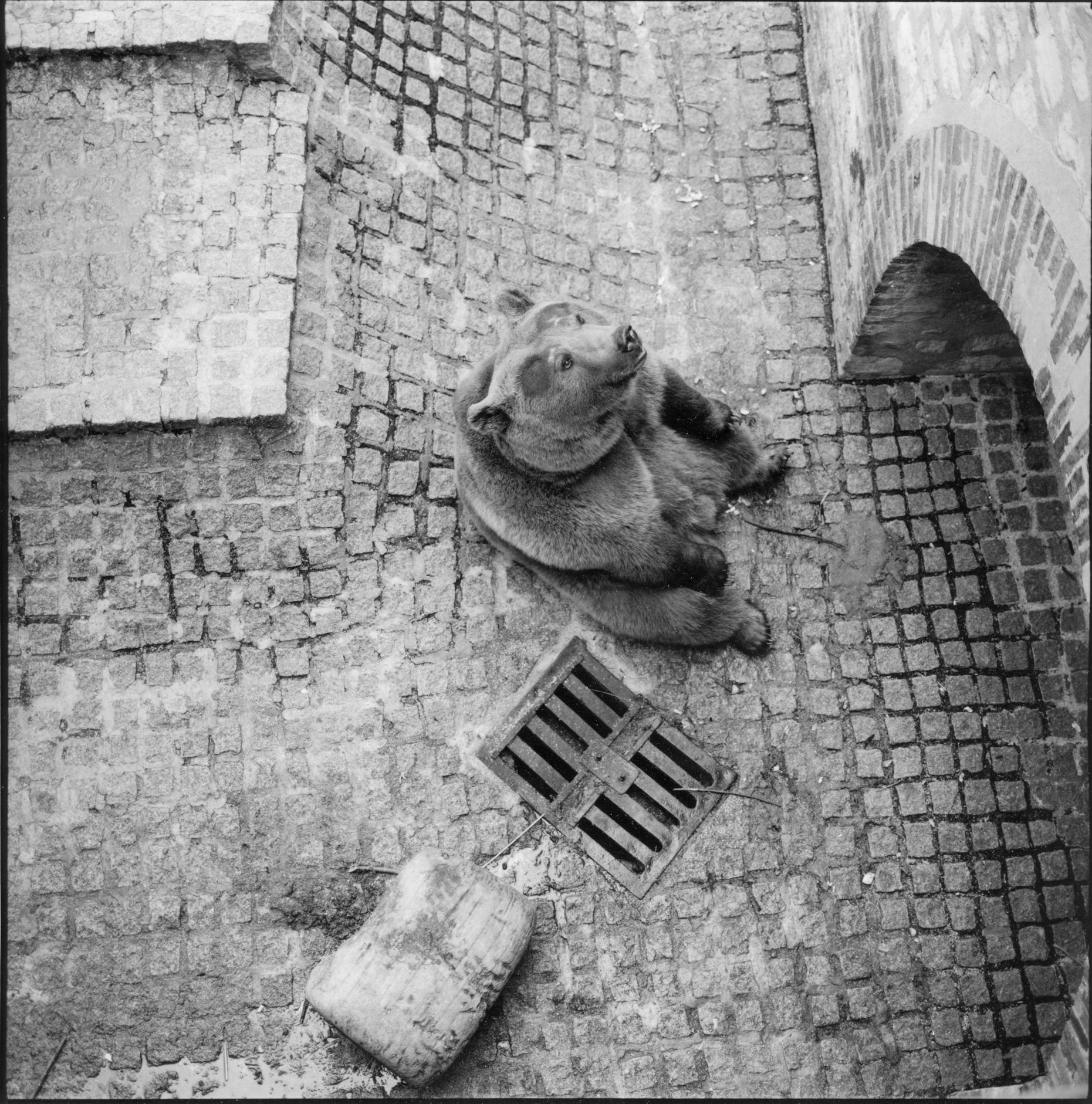 Ménagerie du jardin des plantes