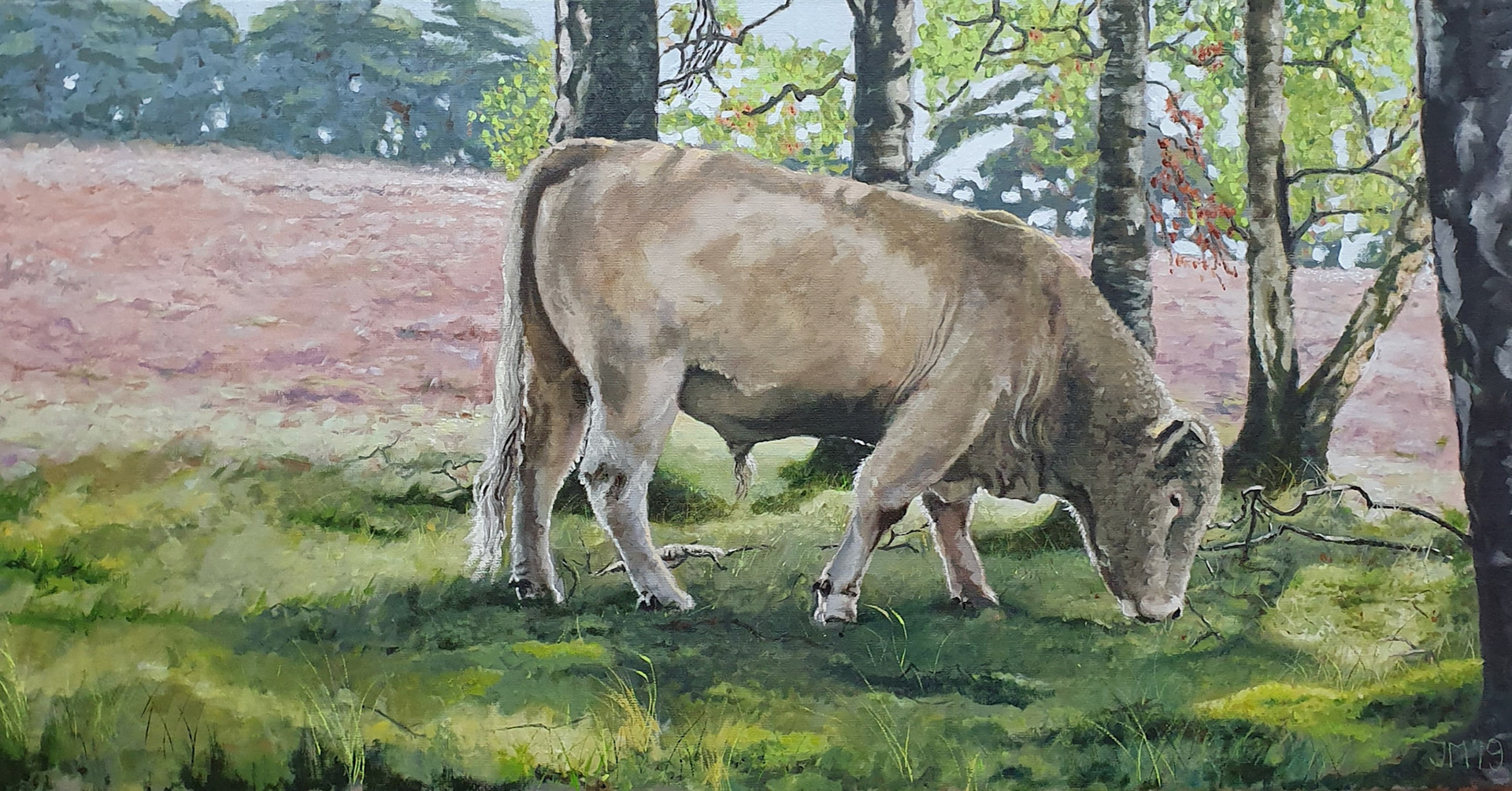 Grazing bull. 50x100. Olieverf op linnen