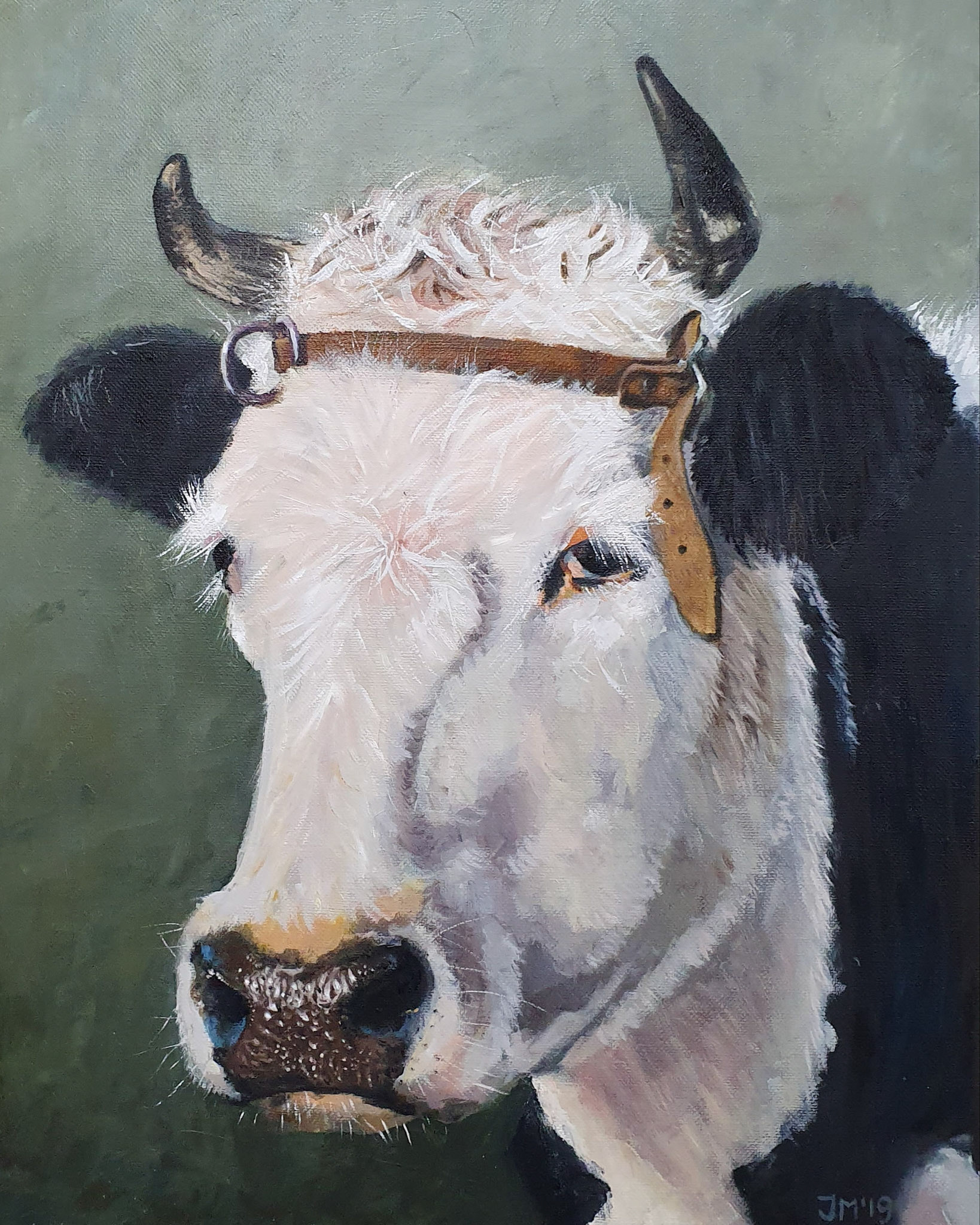 Verkocht. Portret van een koe. 40x50. Olieverf op linnen