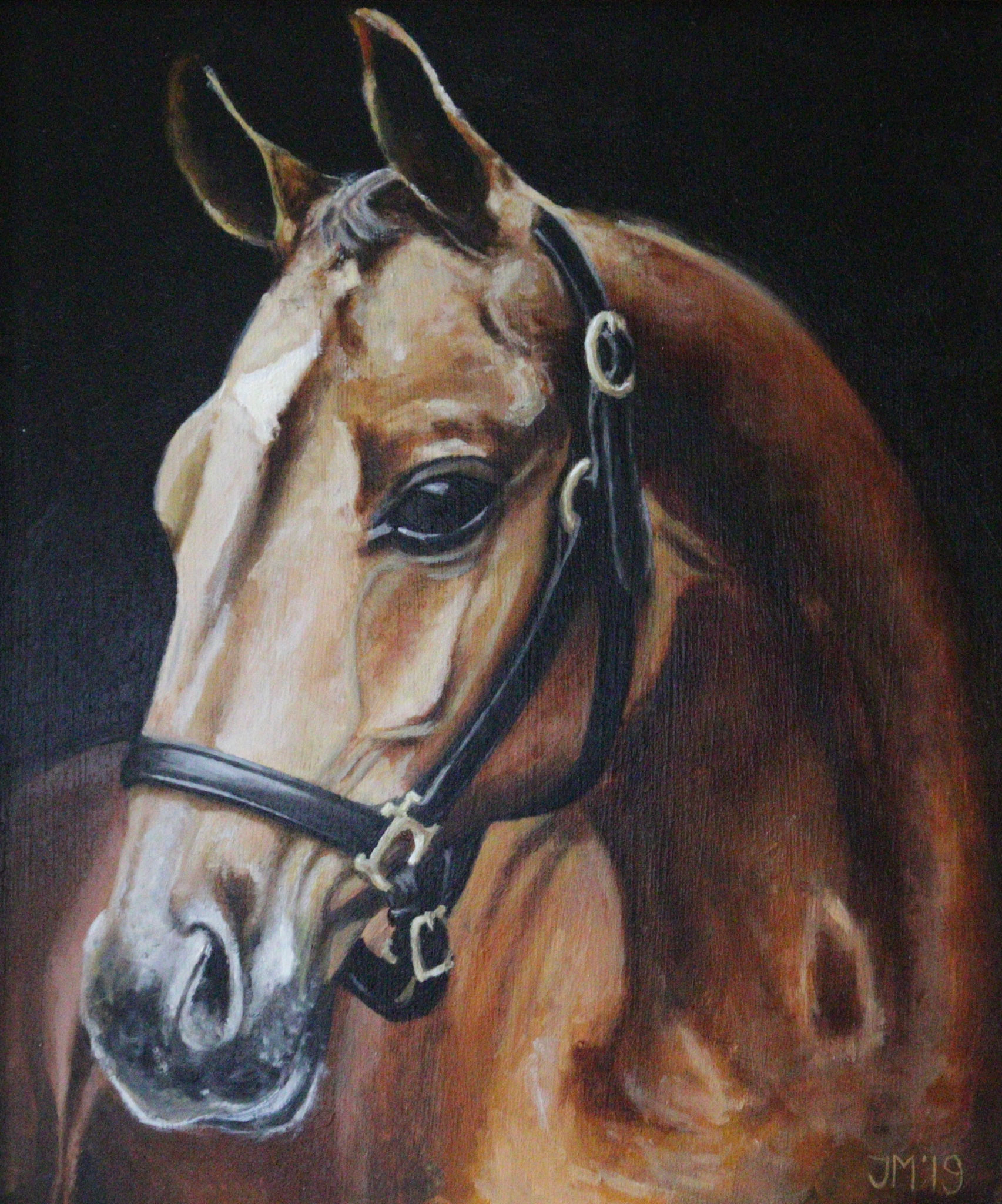 Portret van een paard. 30x40. Olieverf op paneel