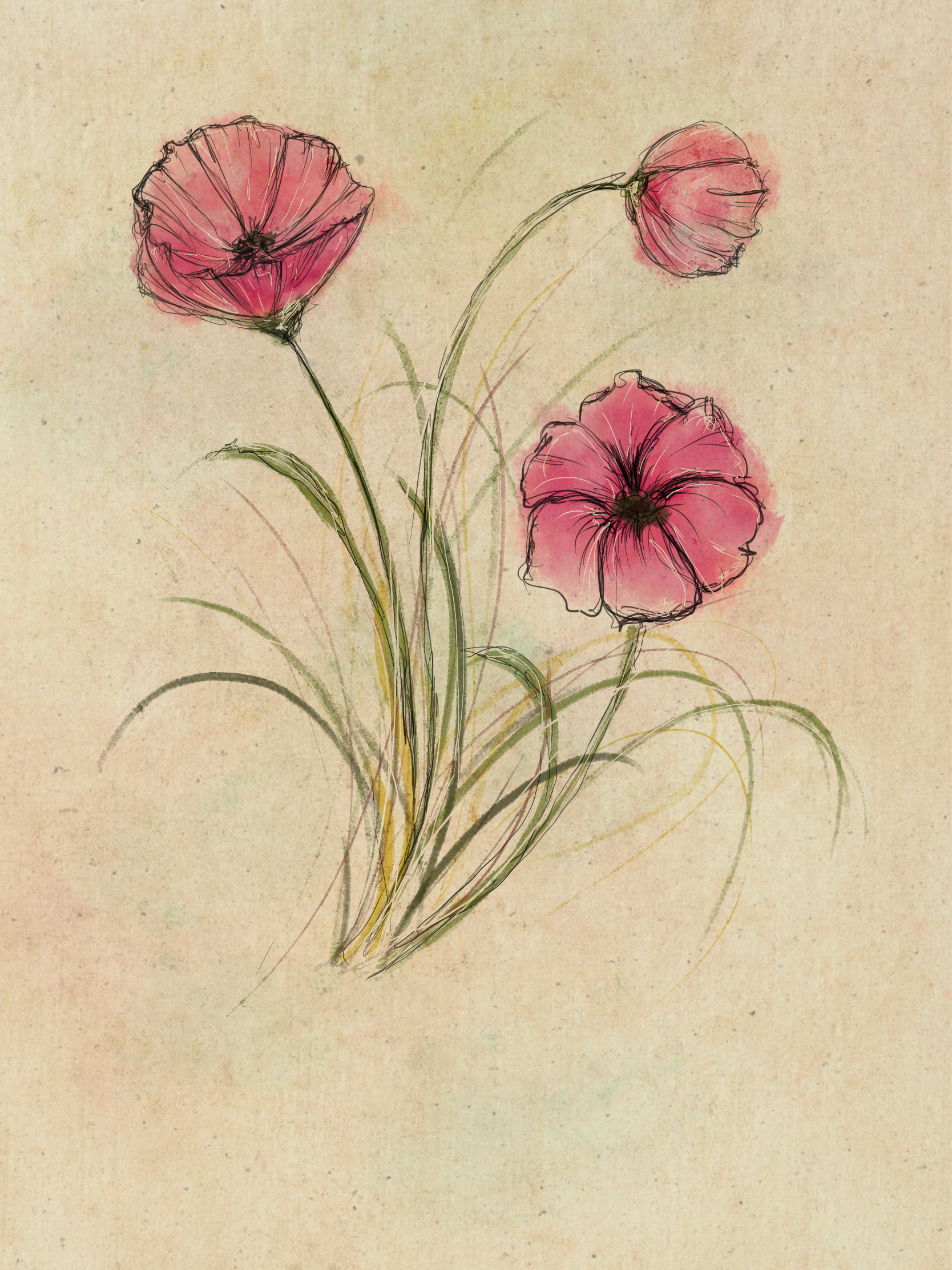 Digital