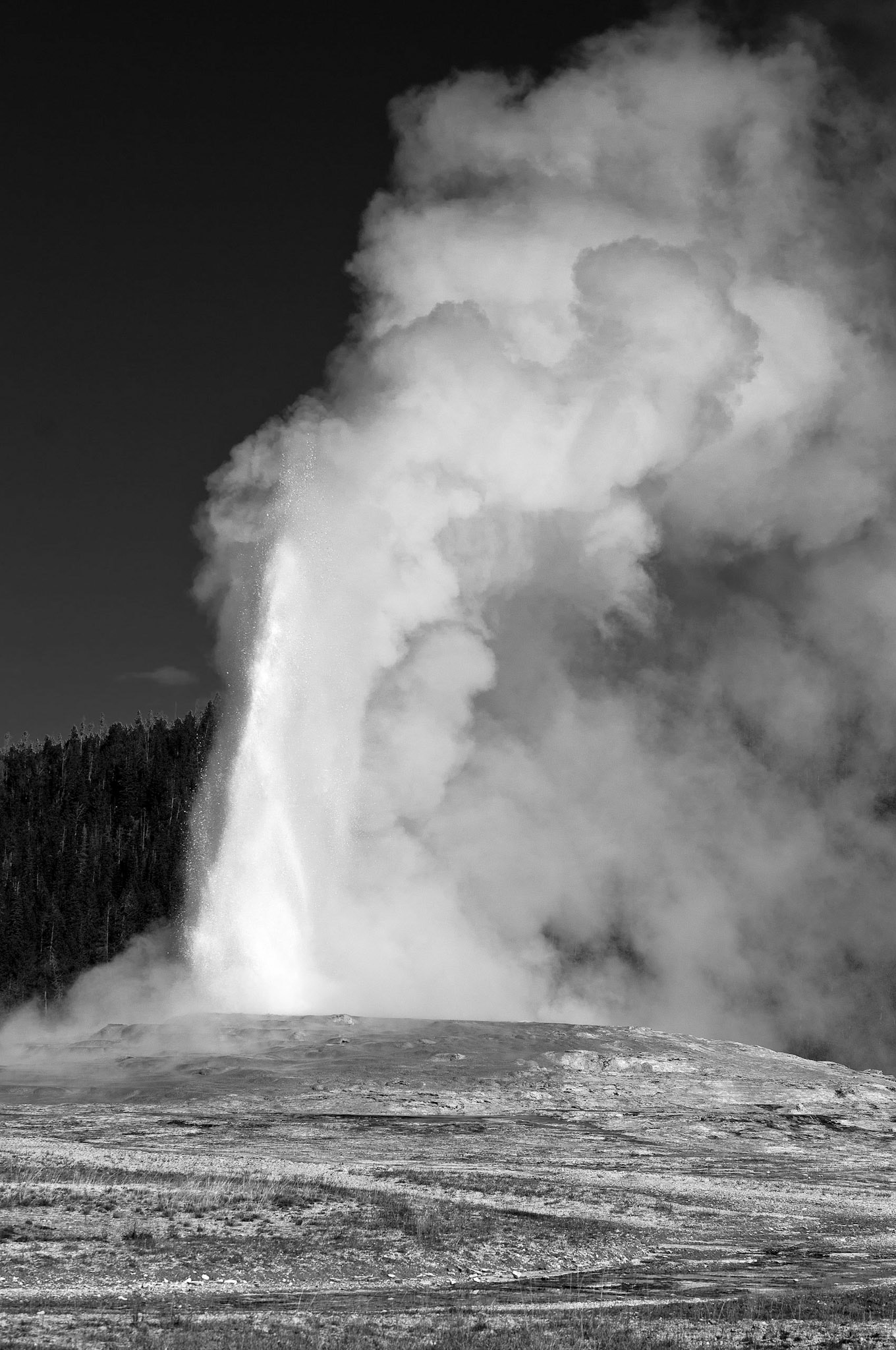 Old Faithful, Yellowstone NP