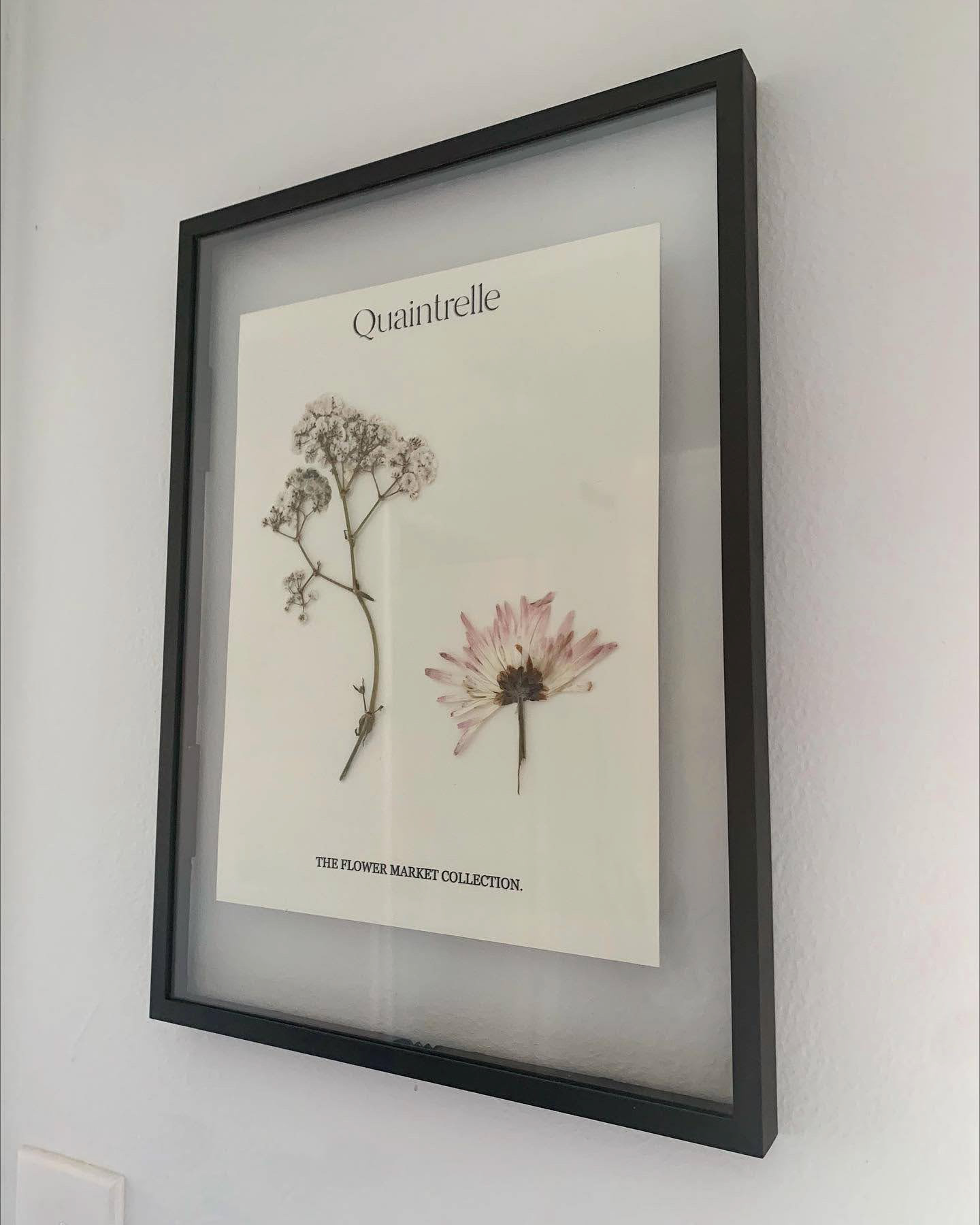 Dried Flower Art