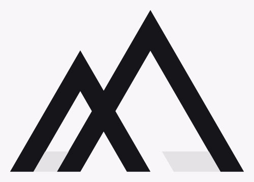 Logotype anatomy: plurality