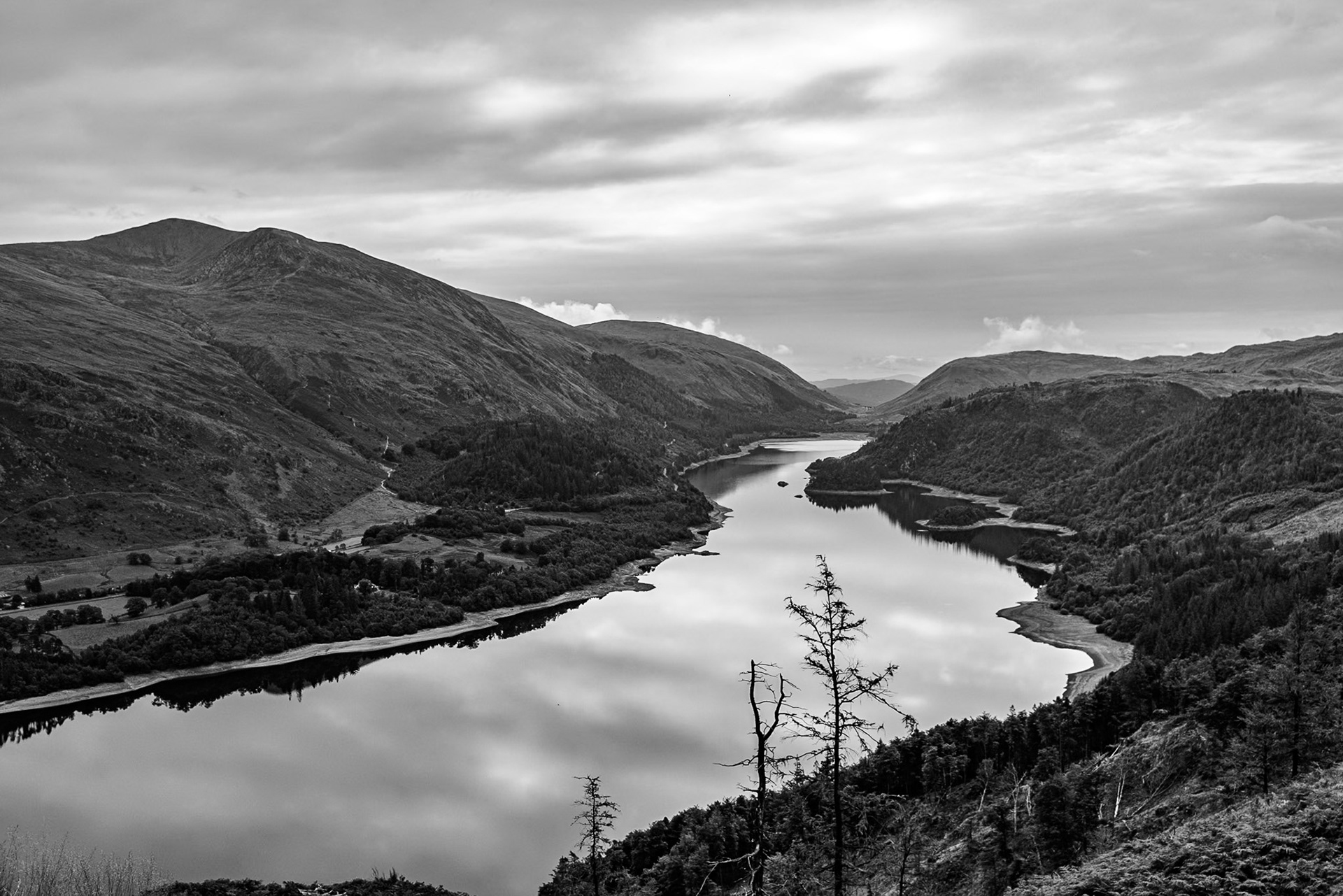 A black-and-white landscape photograph looking down over Thirlmere as it winds between steep, rugged hills, with wooded slopes and scattered dead trees in the foreground. The calm water reflects the overcast sky, while the valley recedes towards distant mountains beneath a layered cloud-filled sky.