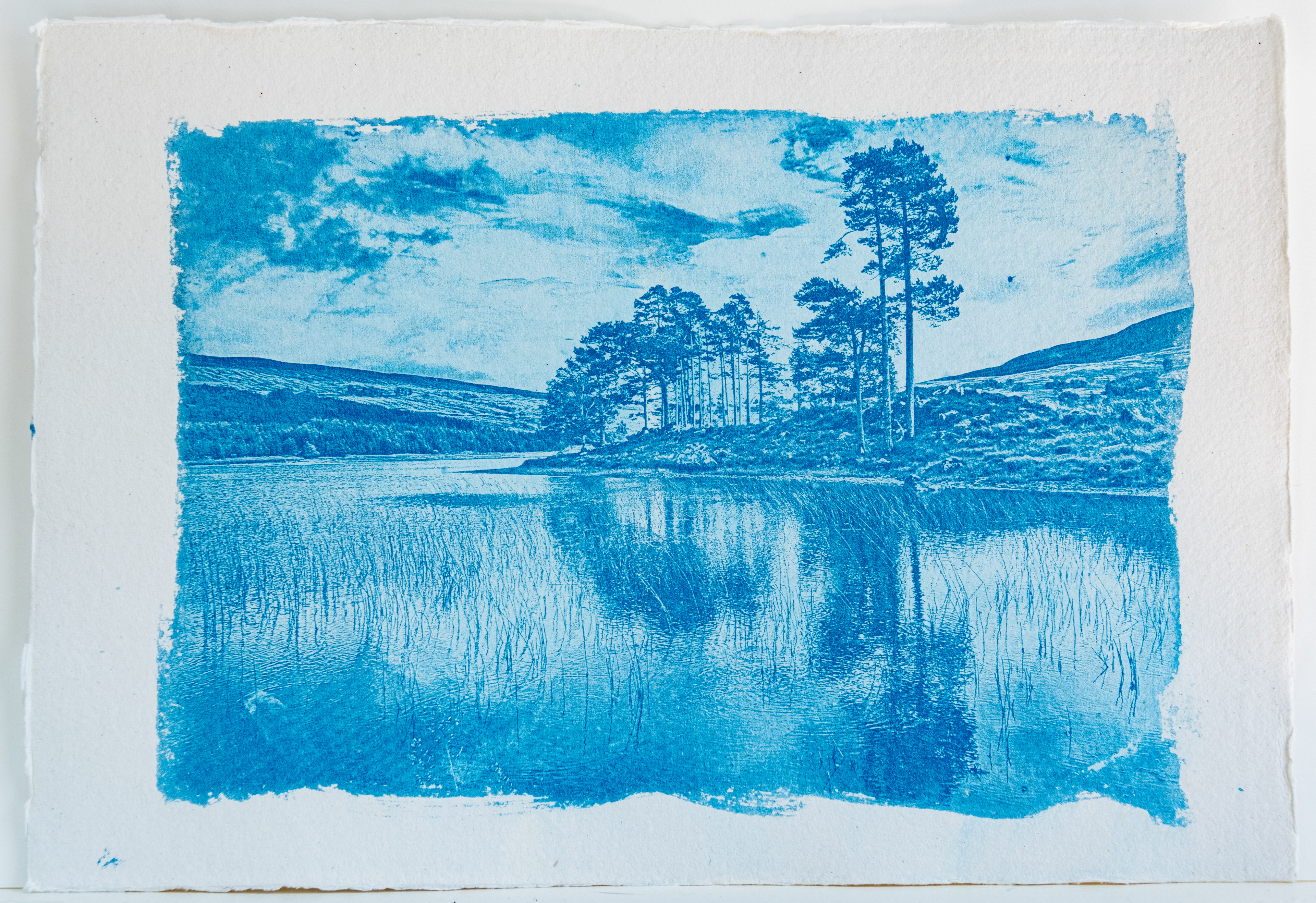A fine art cyanotype print showing trees reflected in the waters of Loch Clair, Scotland.