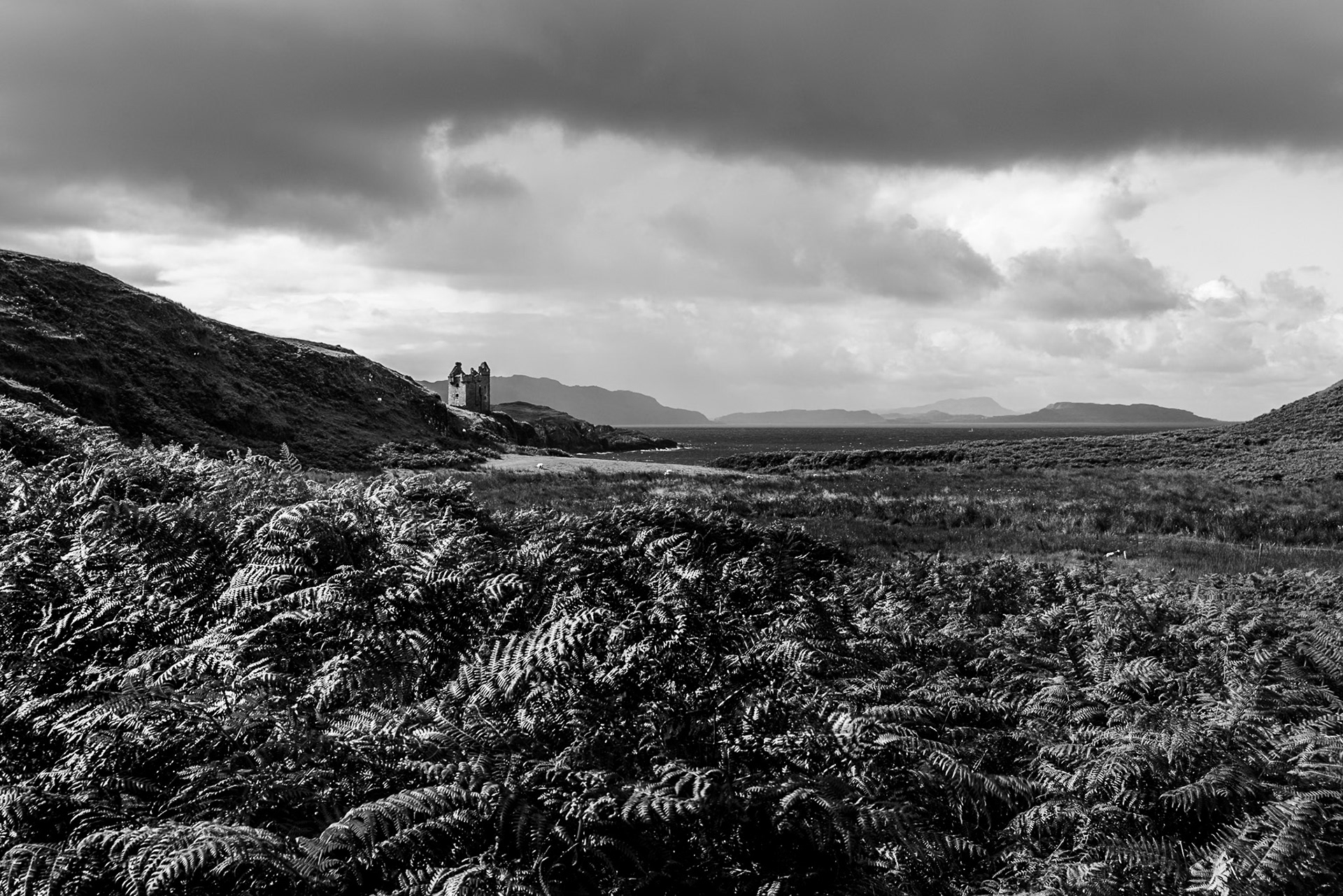 Under a brooding stormy sky, a ruined Scottish Castle can be seen perched on a cliff overlooking the sea. Sunlit fern can be seen in the foreground.