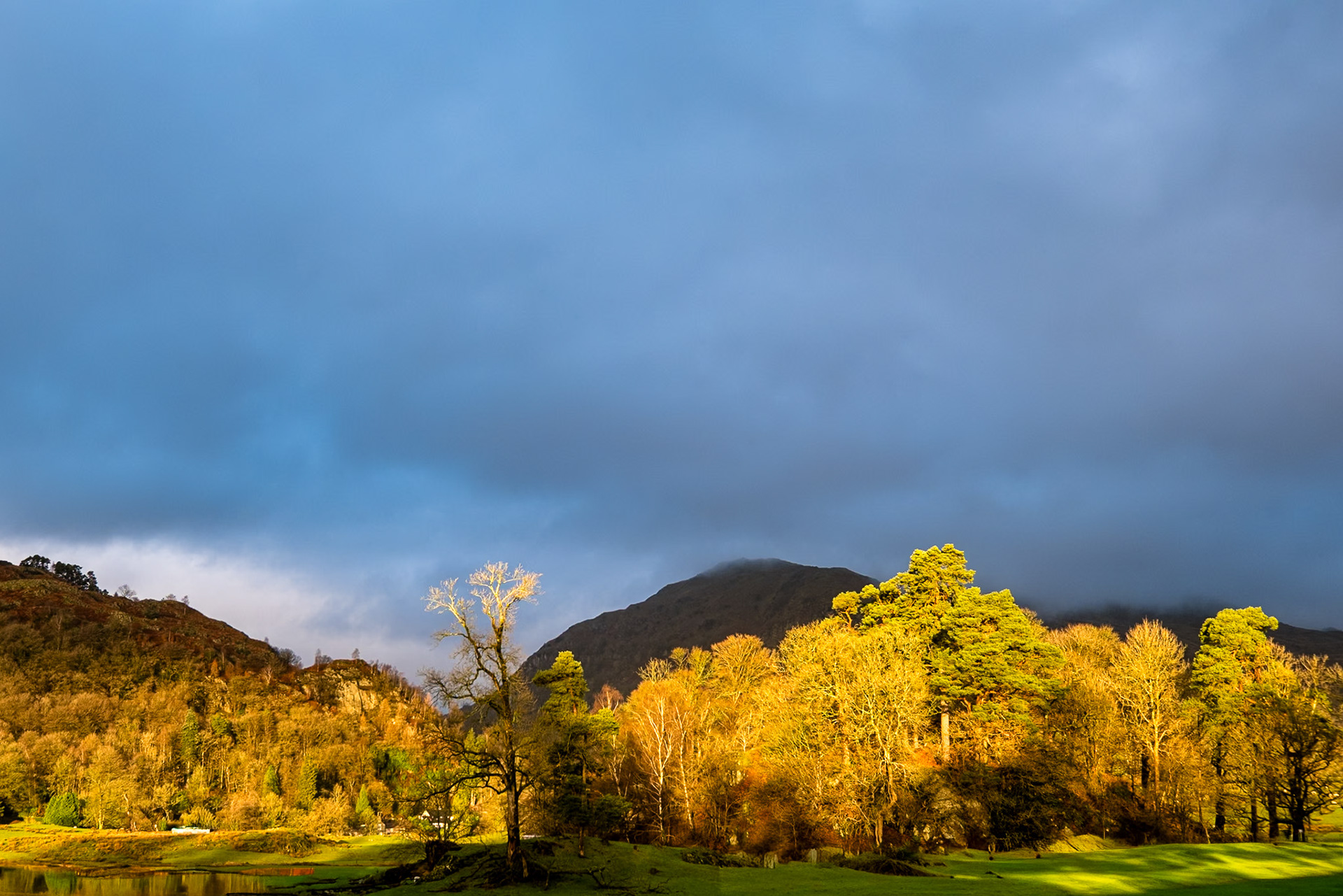 Golden hour light shines across woodland under a grey sky near Grasmere in Cumbria.