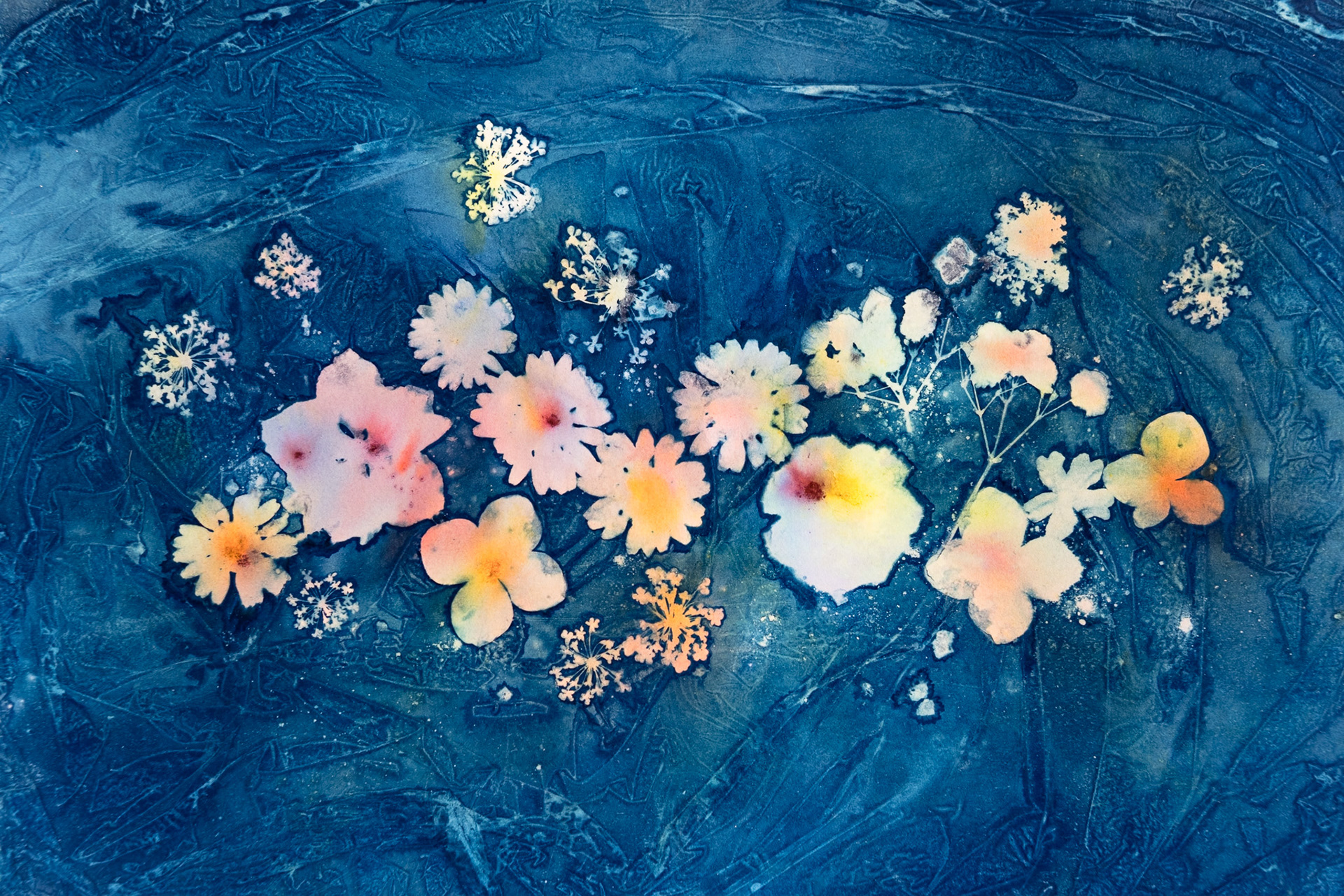 A wet cyanotype of an arrangement of small flowers that has been hand tinted with watercolour paint powder.
