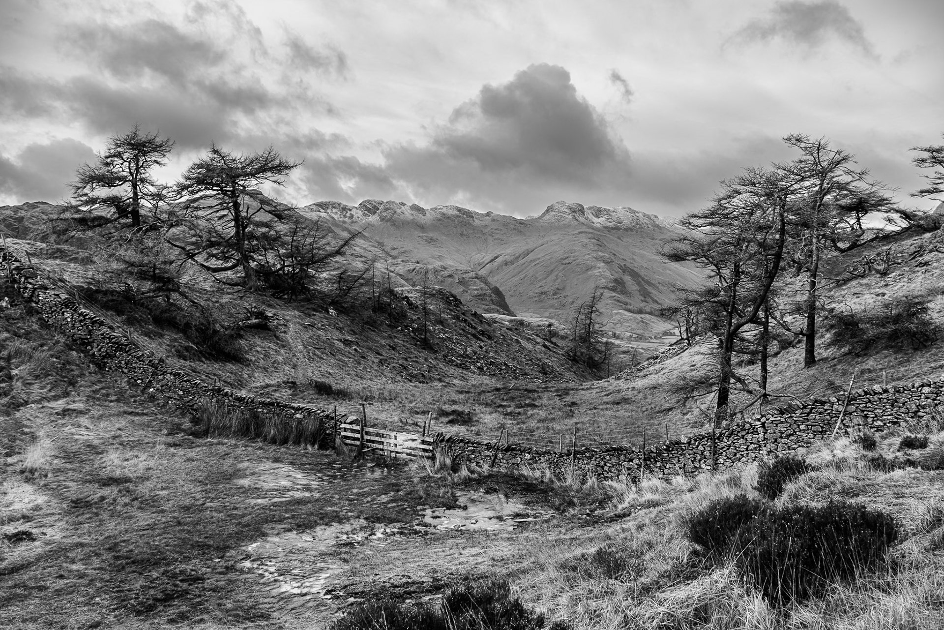 A black and white photo of dark trees on either side of a shallow valley framing snow capped crags in the distance.