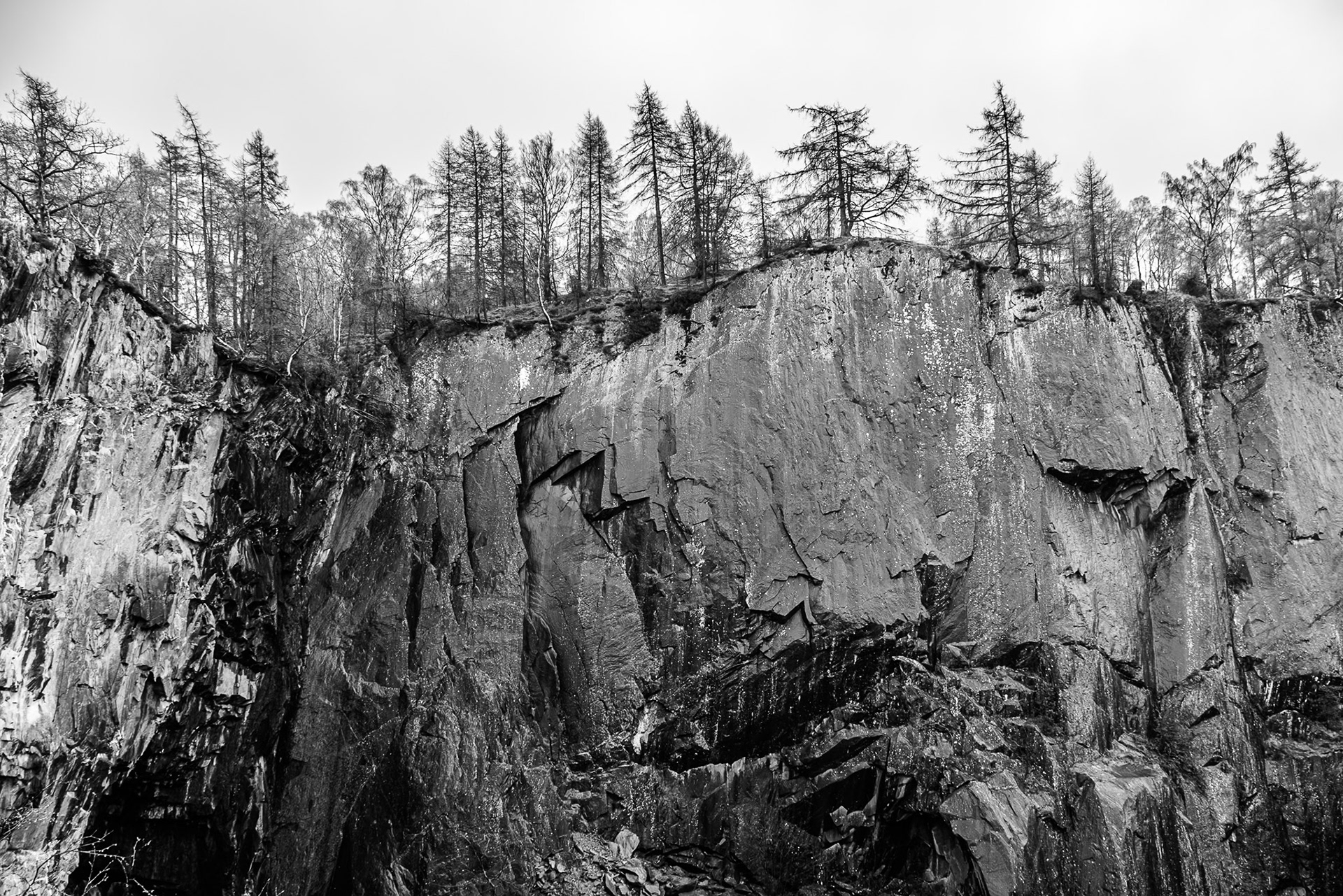 A dramatic black and white shot of a line of trees clinging the the cliff edge of a disused slate quarry.