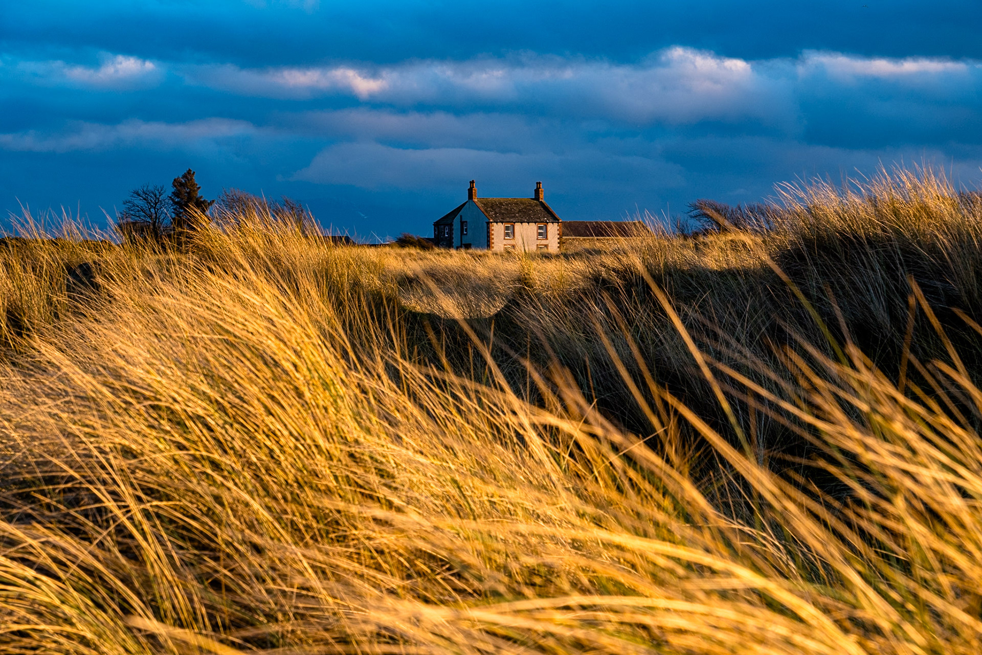 Coastal cottage framed by golden hour illuminated sea grass and a stormy sky.