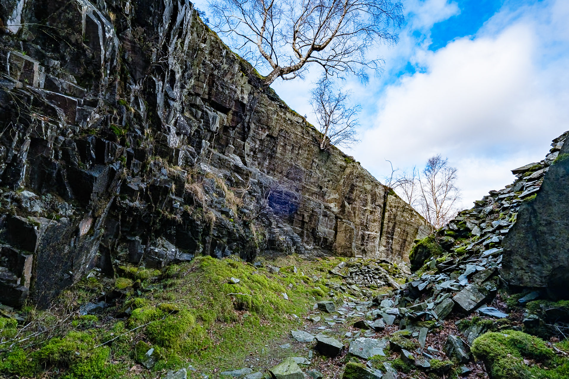 Trees clinging to the side of old slate quarry workings, Little Langdale.