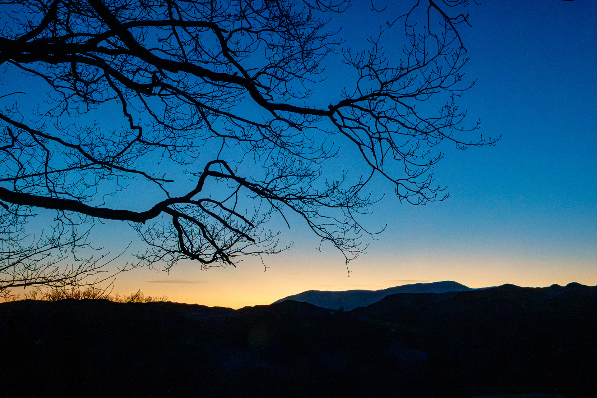 A leafless tree framed by a winter sunset over the Lakeland Fells.