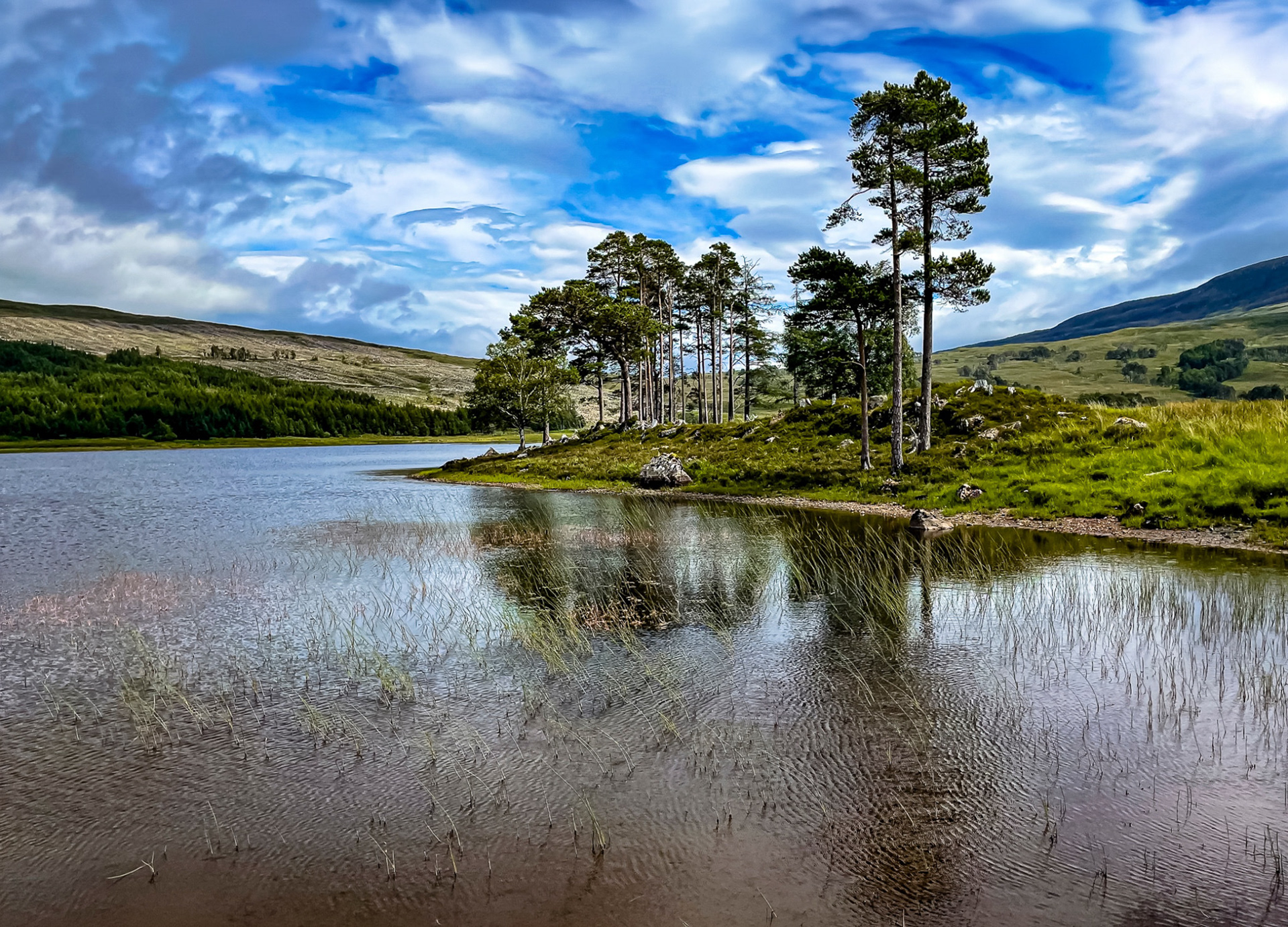 Colour image of tall trees reflected on the waters of the Cuillin Estate, Torridon.