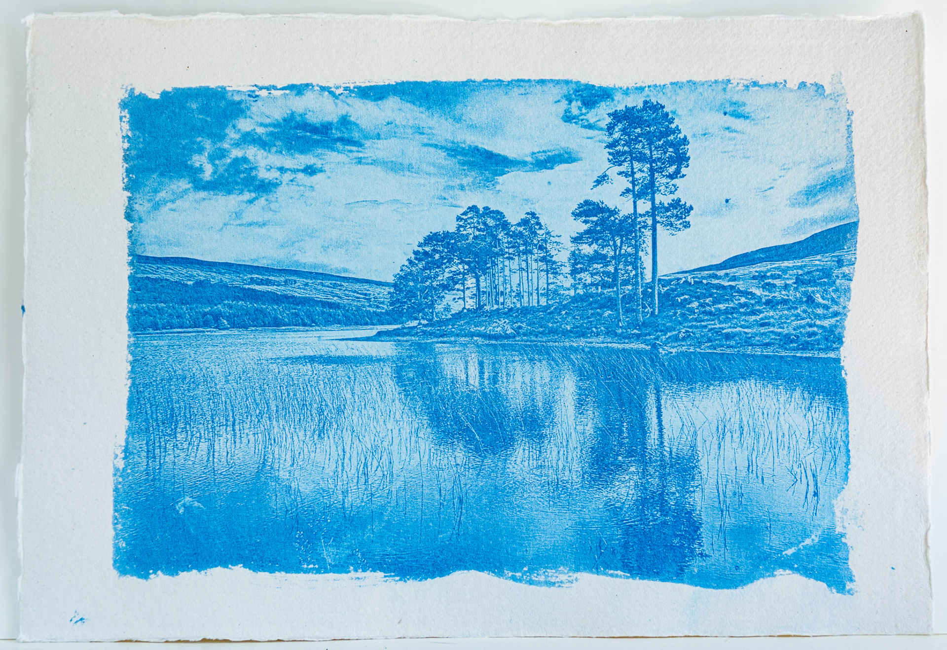 A cyanotype fine art from a digital negative of a group of trees reflected in the water of Loch Clair, Scotland
