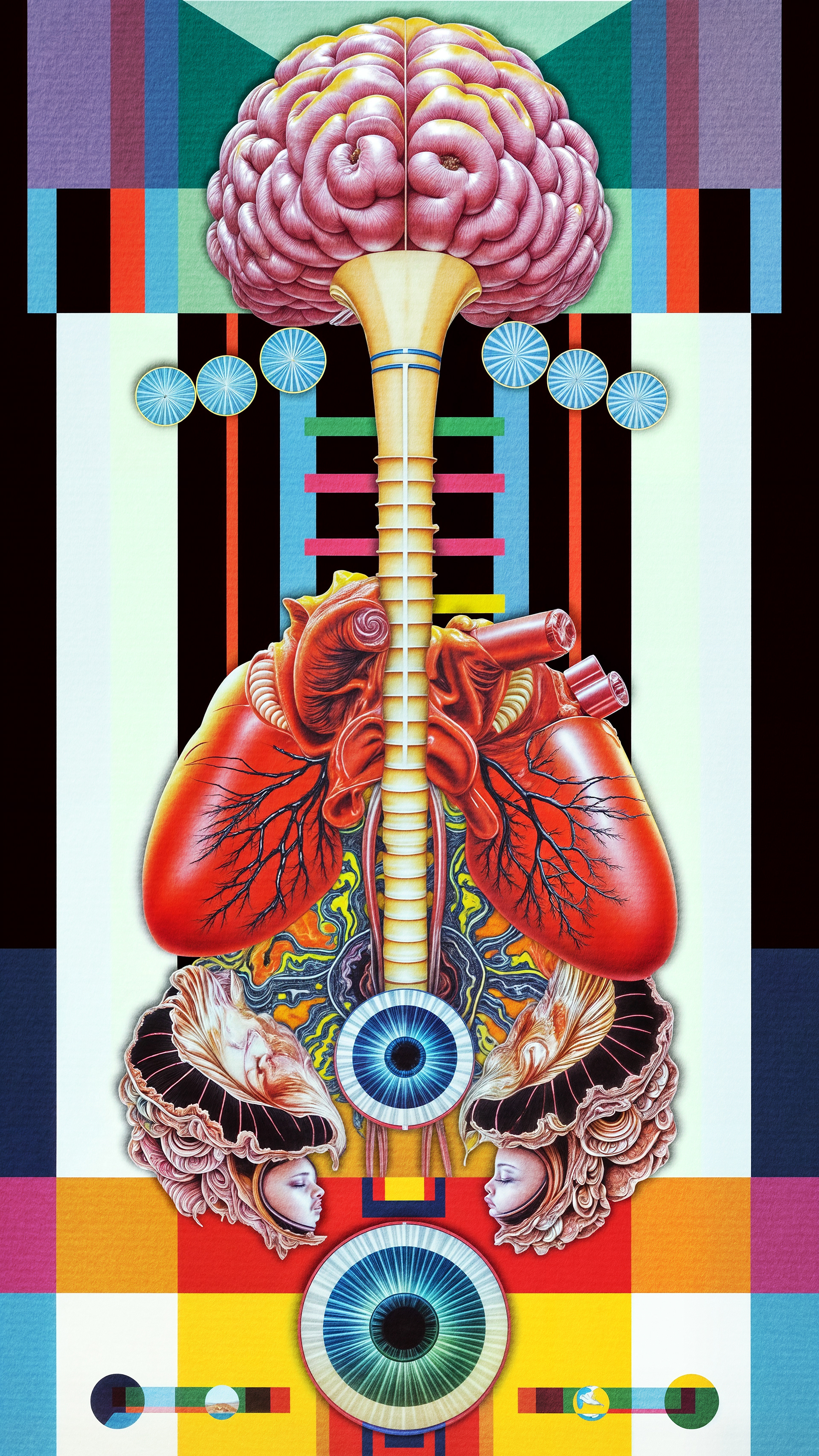 Psychoanatomica 2.0
