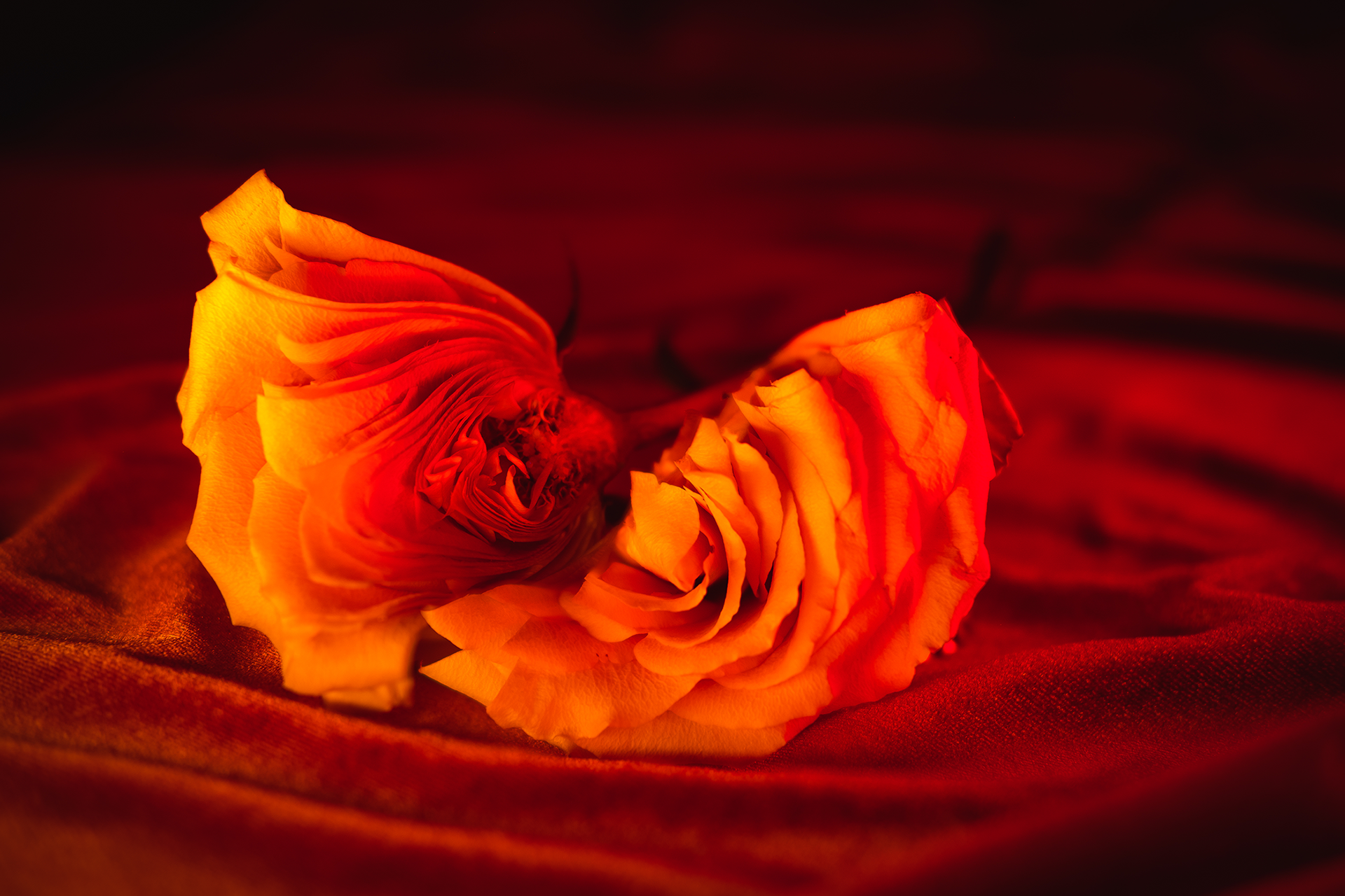 La fin du romantisme