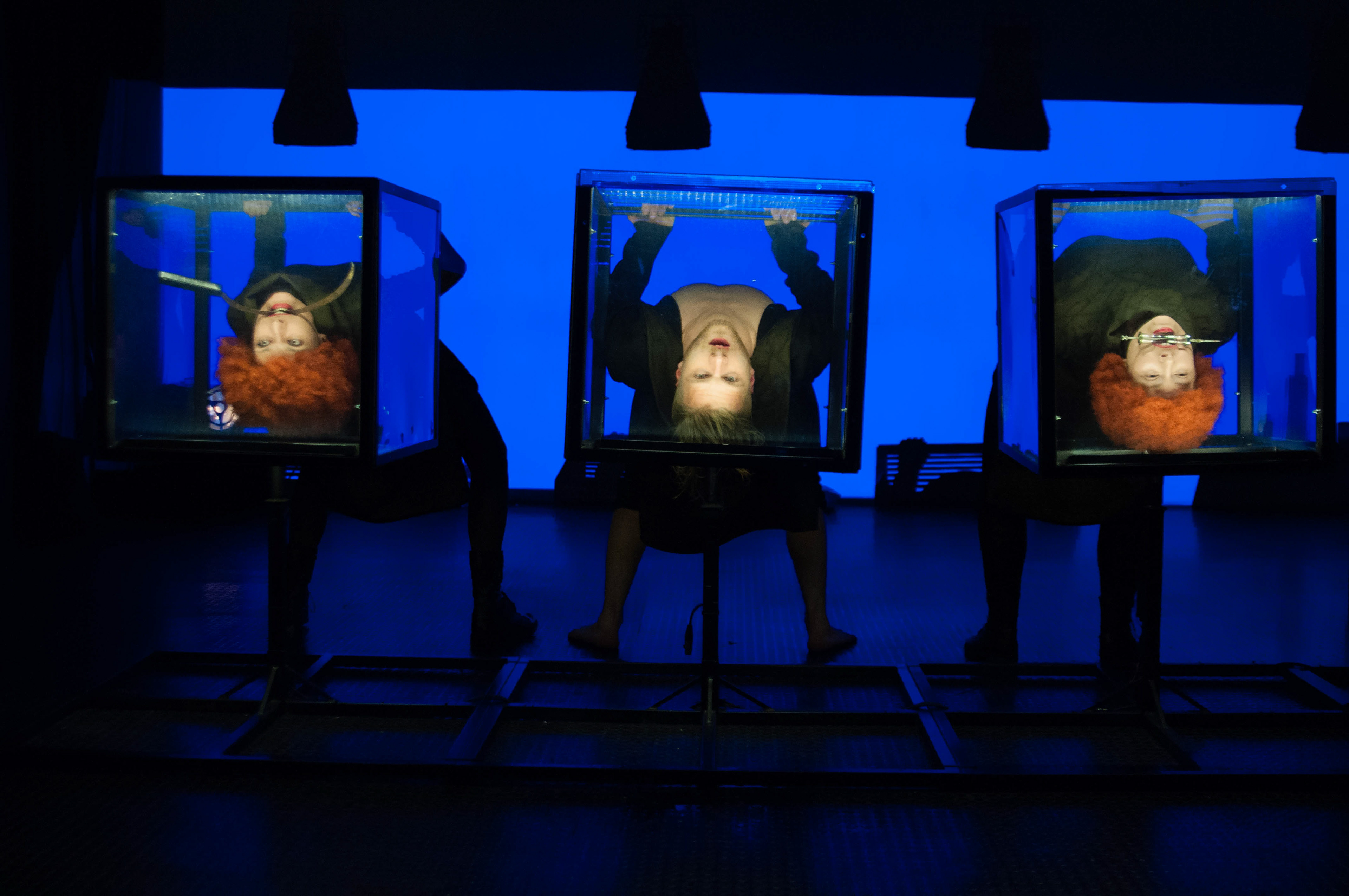 "Mammal crossing" 2016, Apeiron theatre