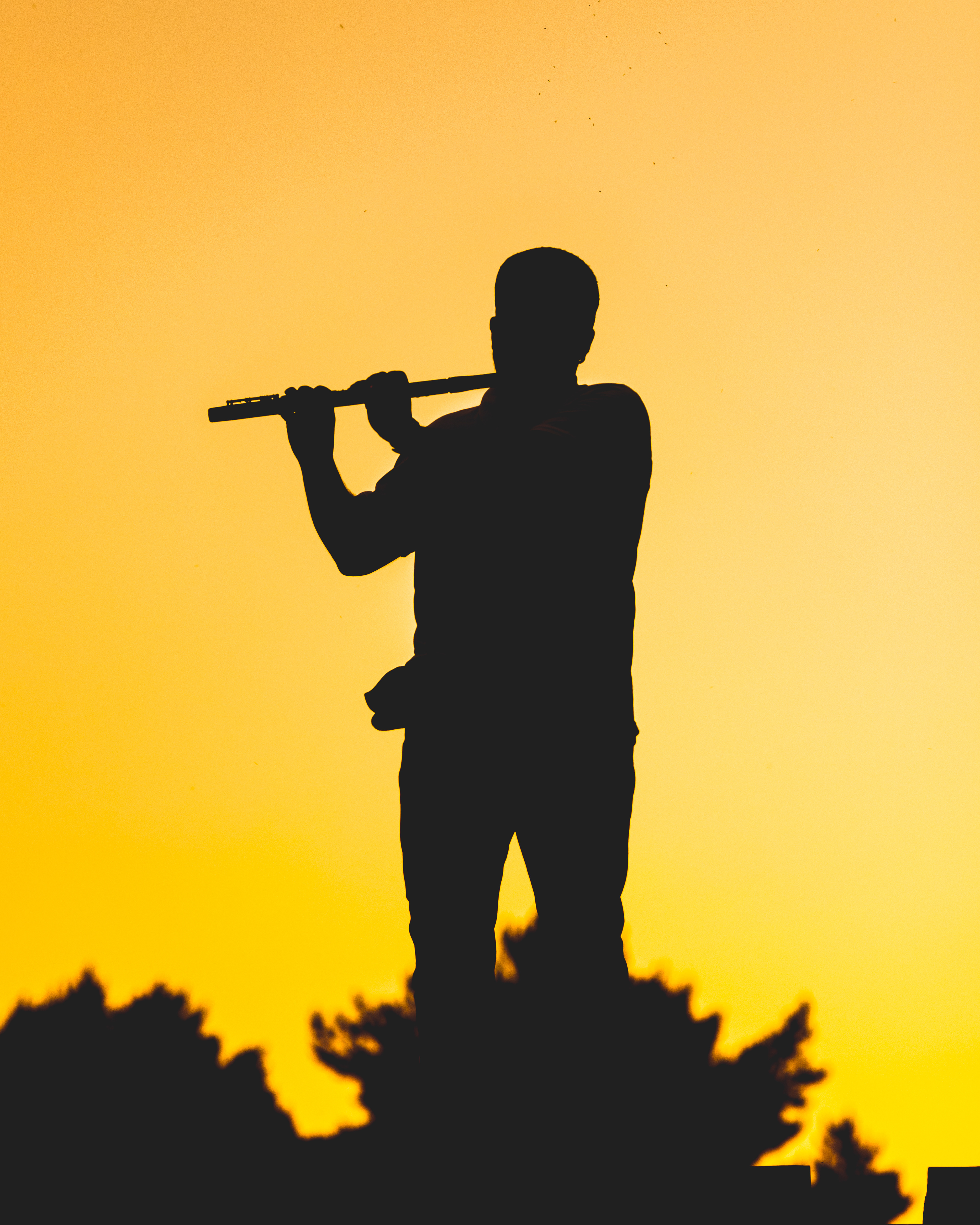 Saulius Petreikis 2020, Nida