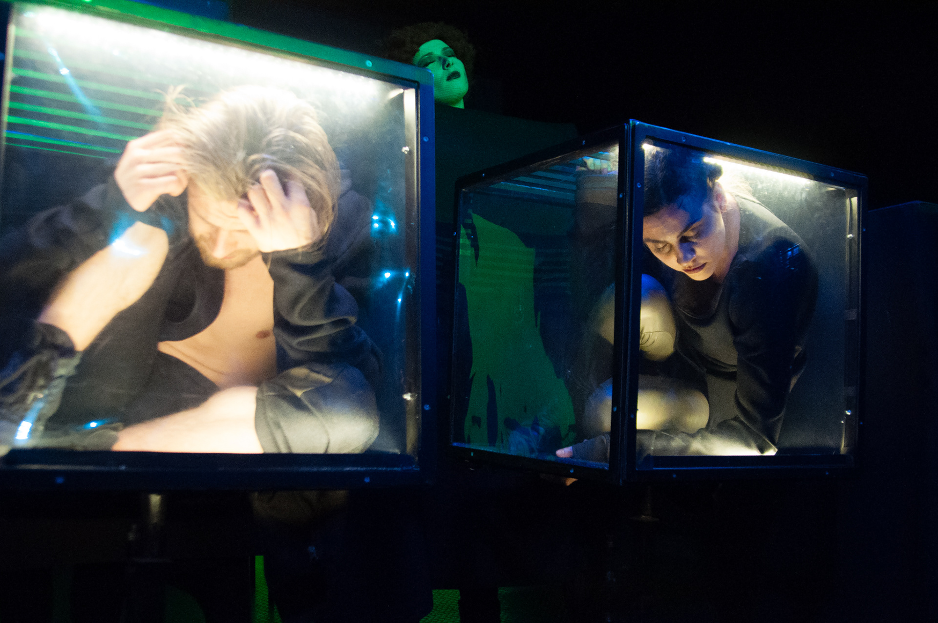 "Mammal crossing" 2016, Apeiron theatre