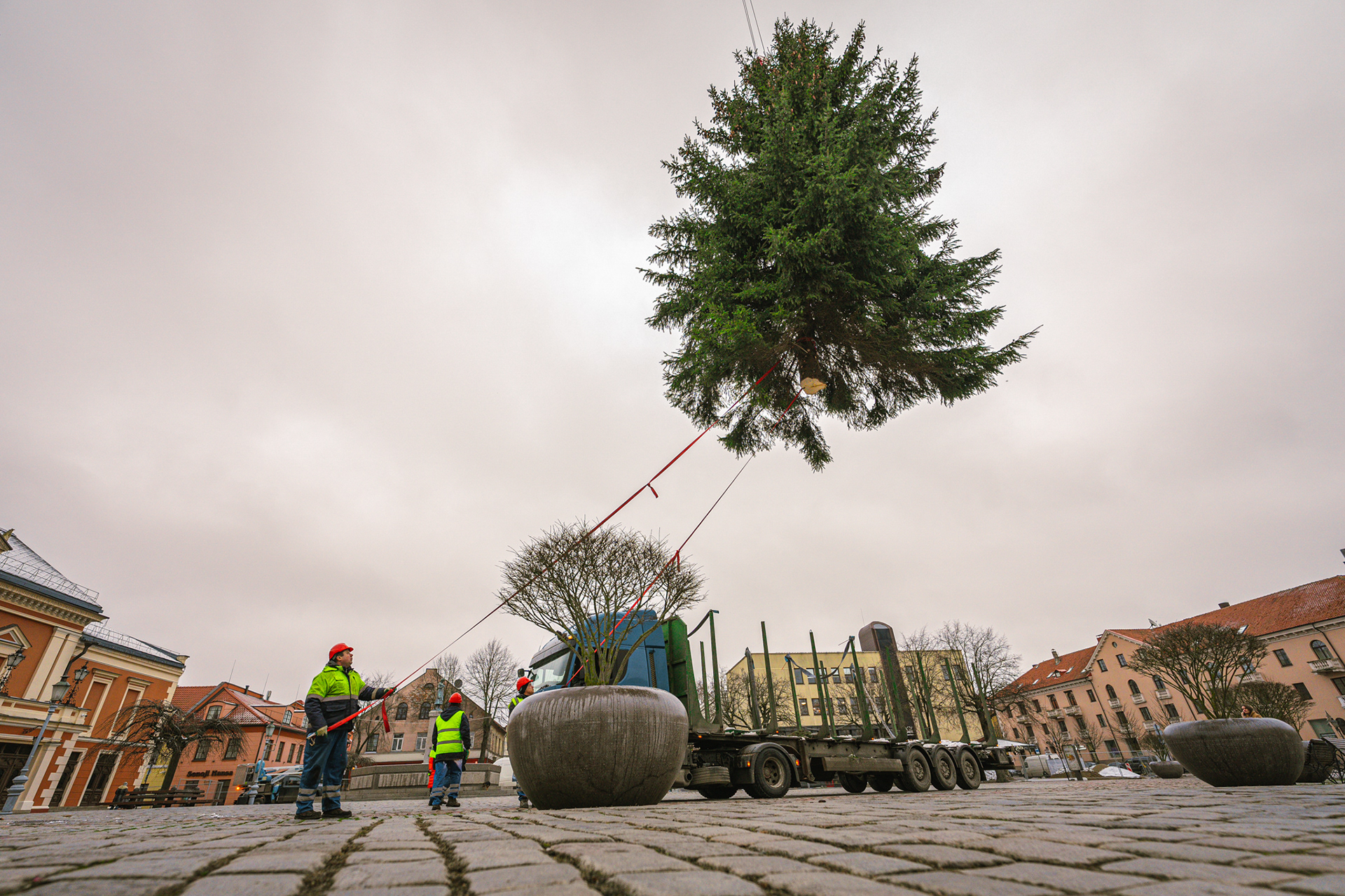Klaipėda city Christmas tree