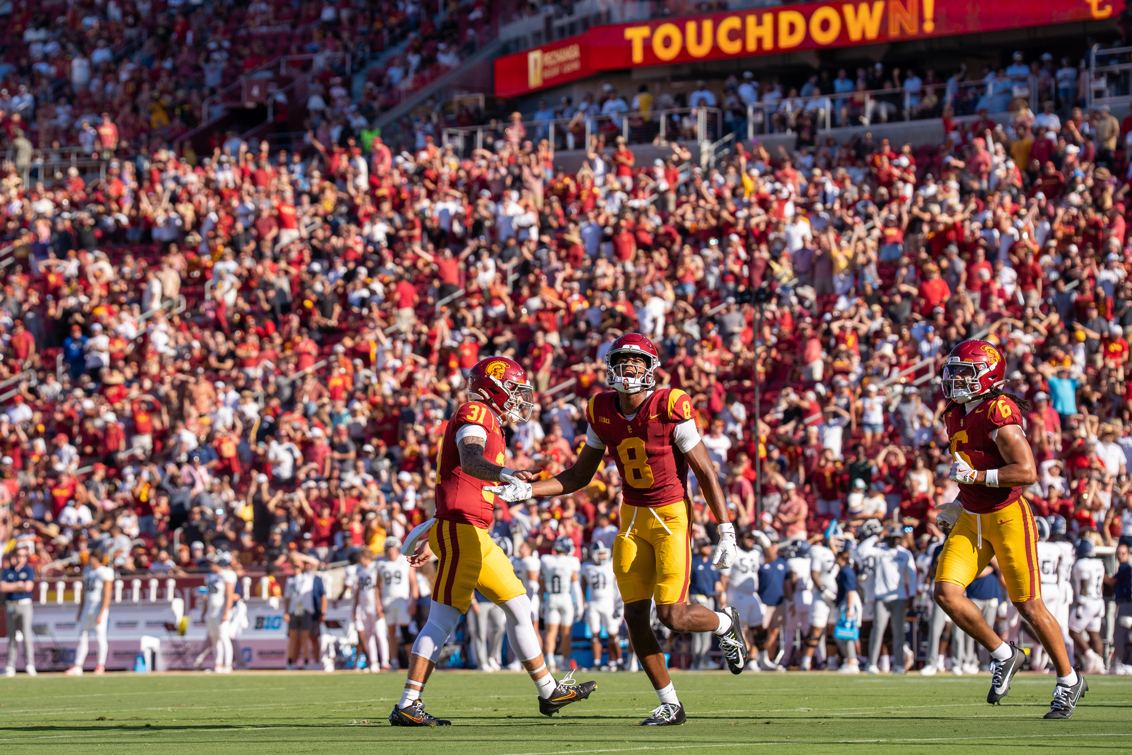 shot for daily trojan