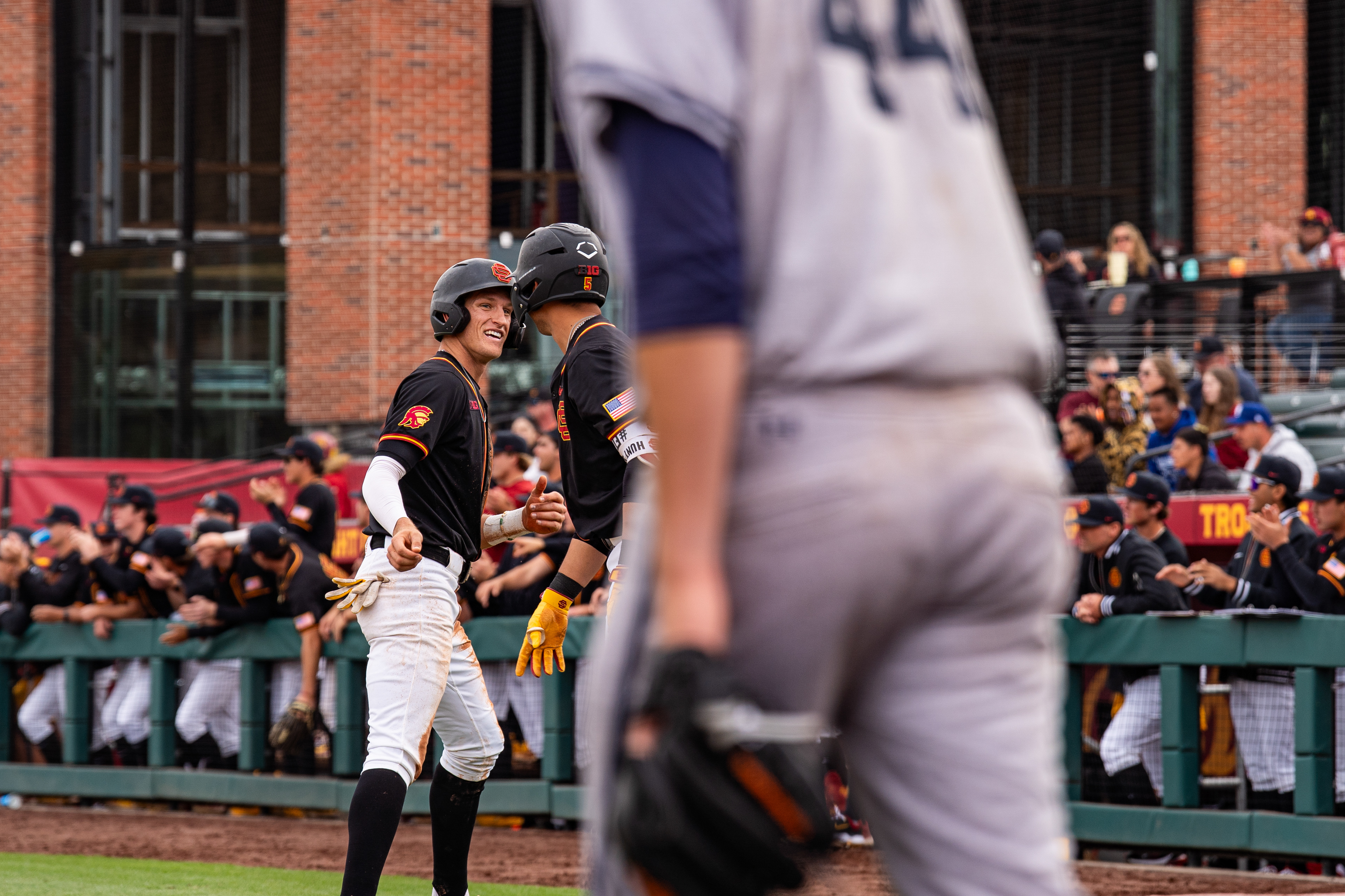 shot for daily trojan