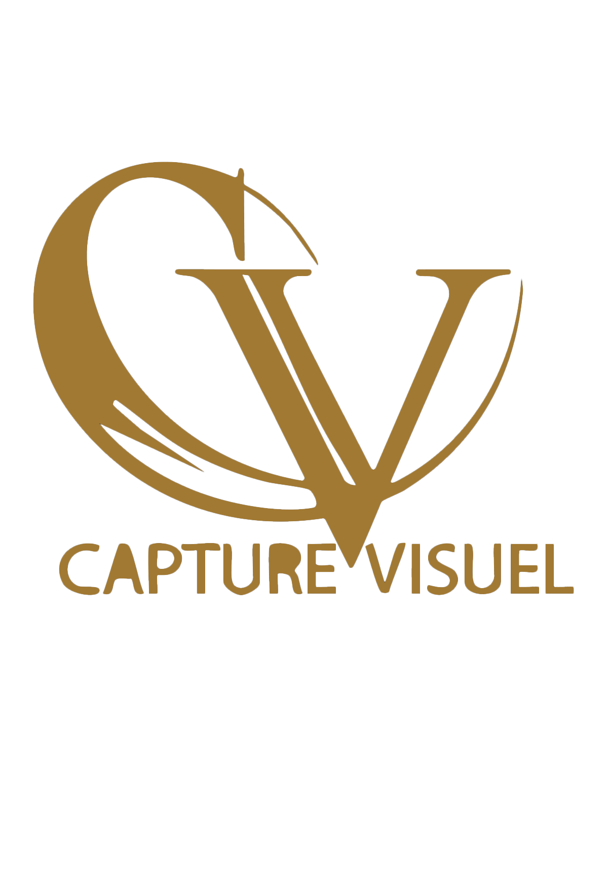 Capture_Visuel