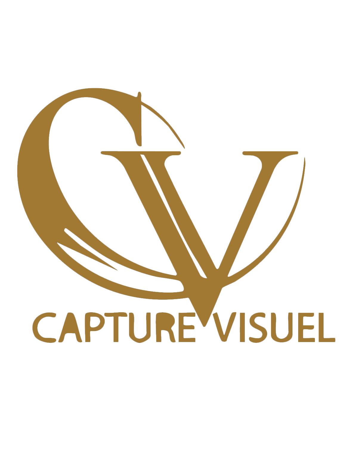 Capture_Visuel