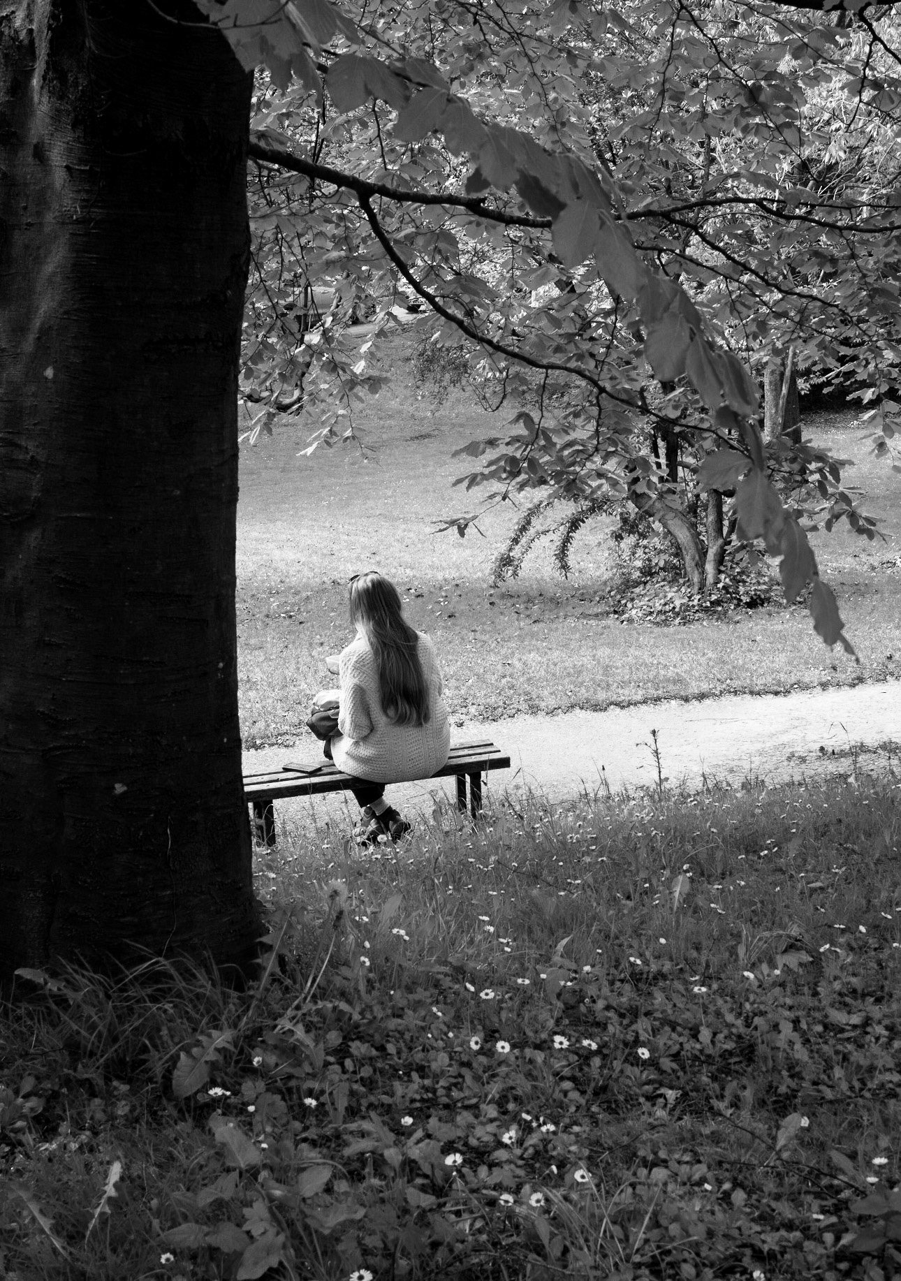 Picnic