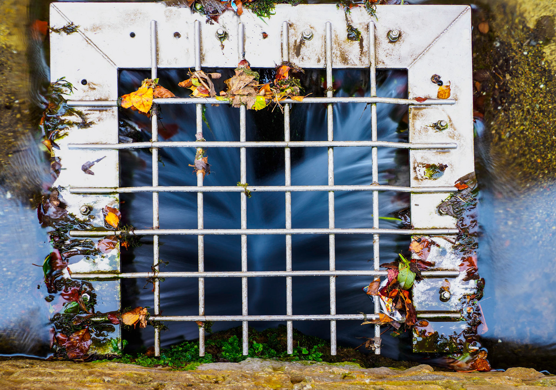 Race Drain in Autumn