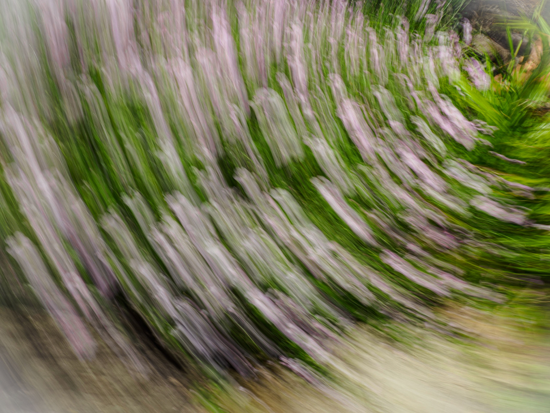 Geum Swirl 3