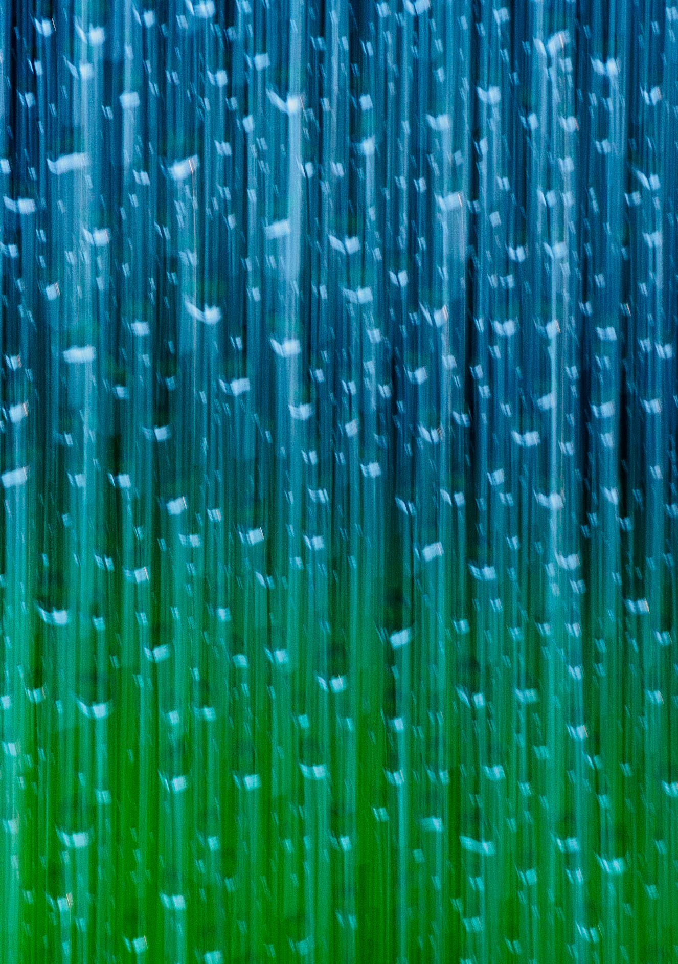 Rain #2