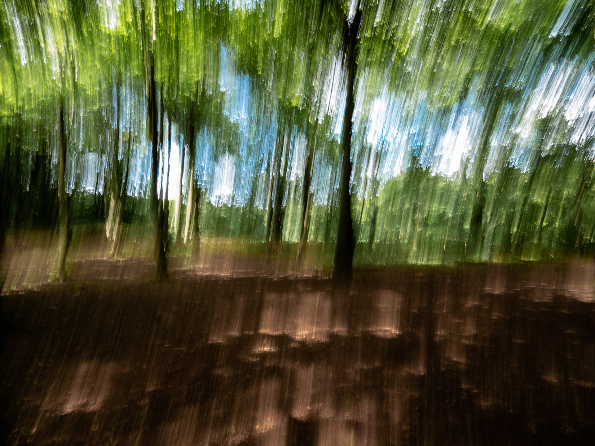 Walk in the Woods