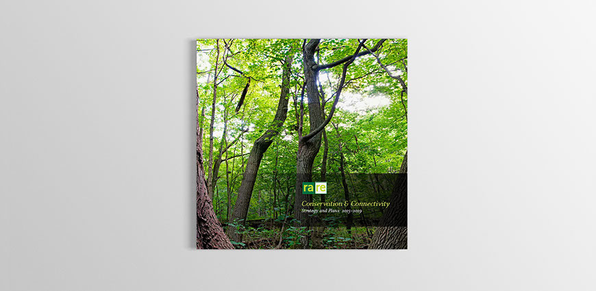 Rare: Conservation and connectivity. Strategy and Plans report cover with forest image. mage of forest.