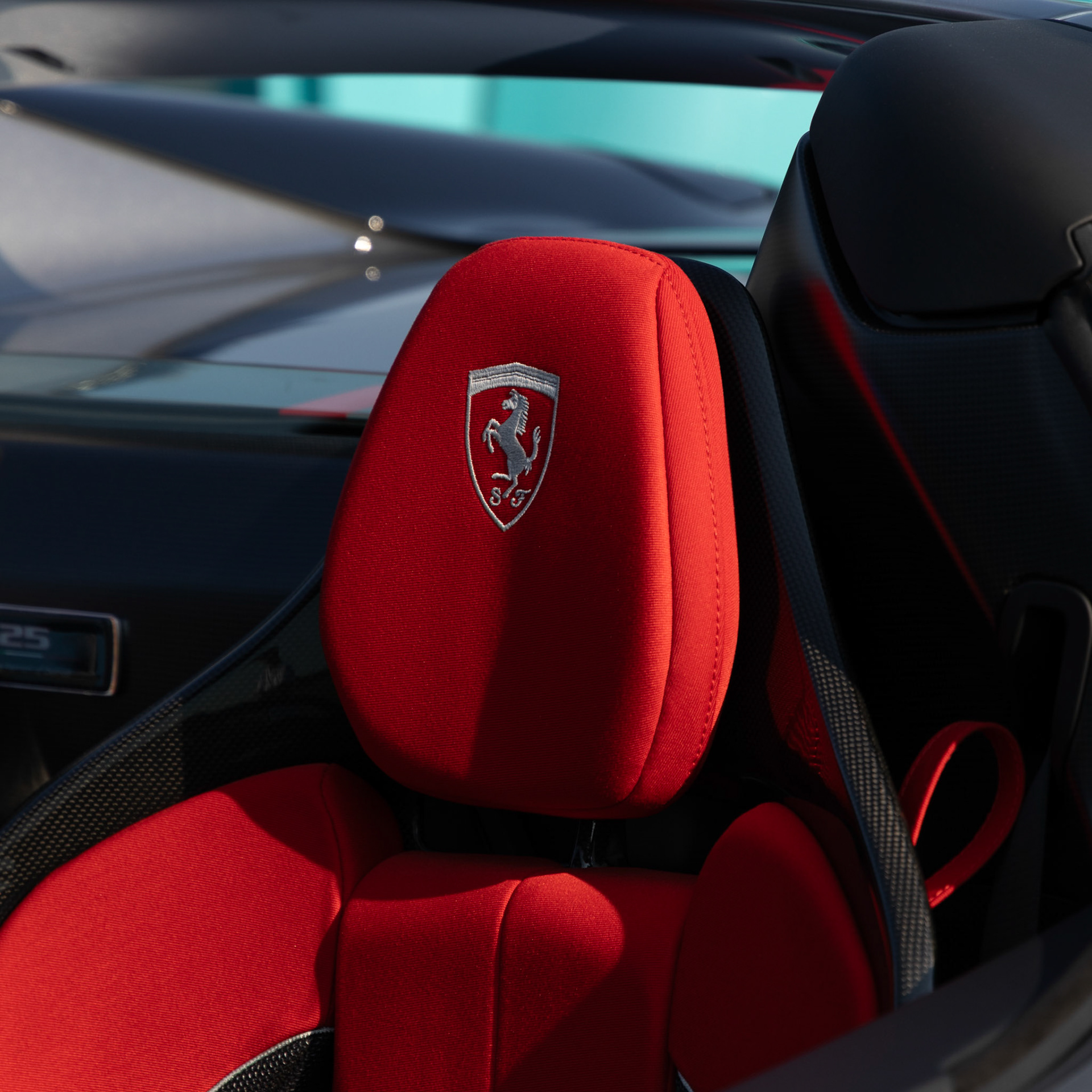 sick shadow on the seat